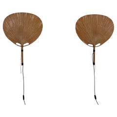 Wall Lights and Sconces