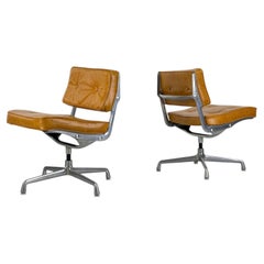 Pair of Intermediate chair ES101 by Charles & Ray Eames for Herman Miller-1960s