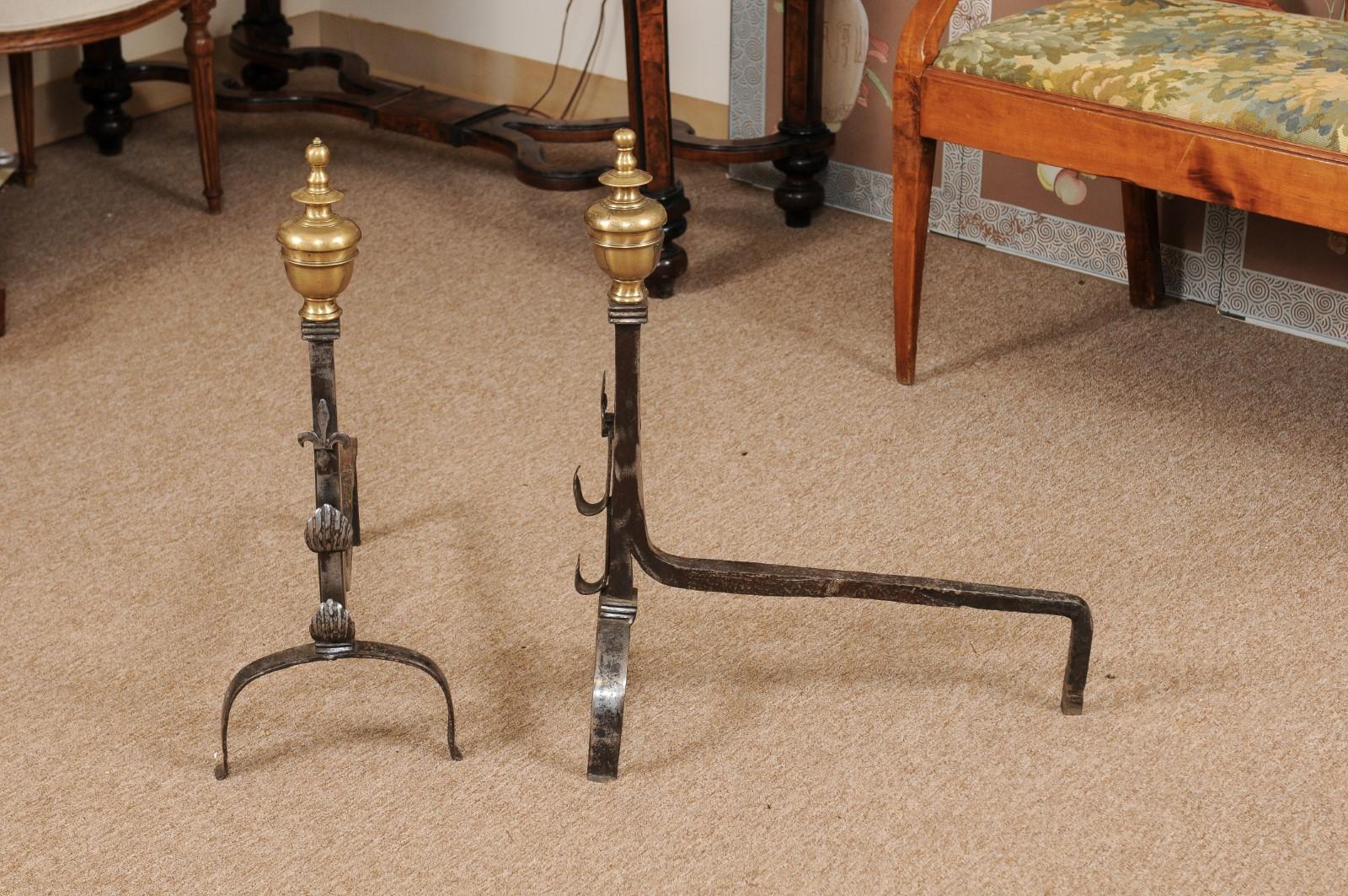 Pair of Iron & Brass Andirons with Fleurs de Lis, France, 18th Century 5