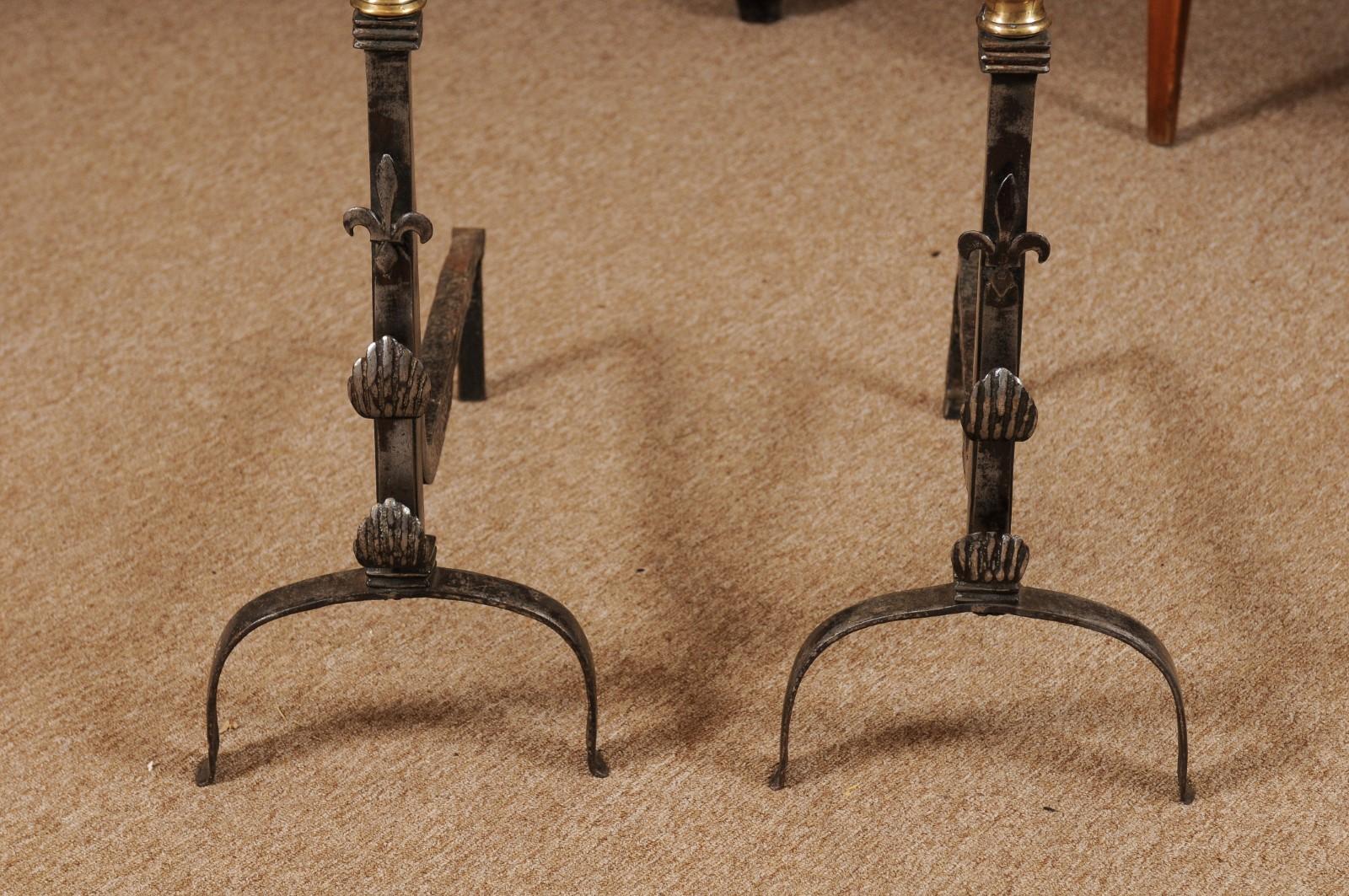 Pair of Iron & Brass Andirons with Fleurs de Lis, France, 18th Century 1