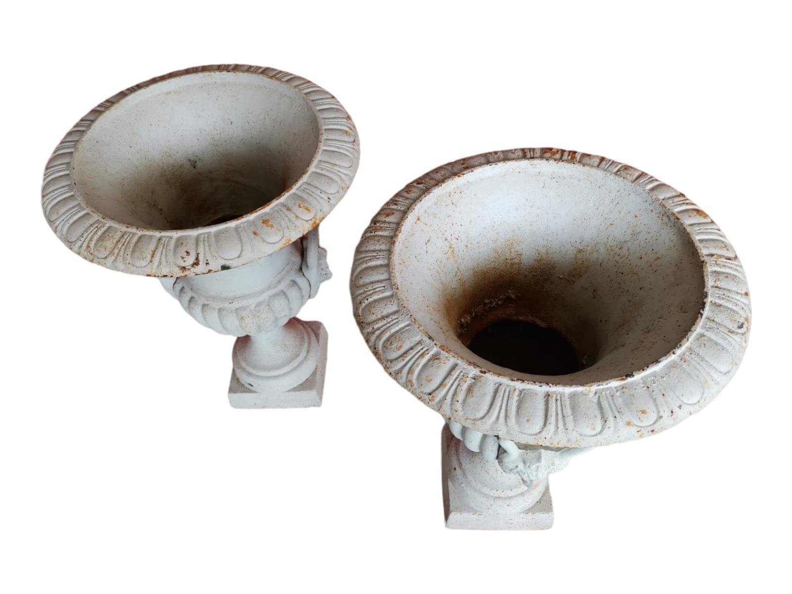 20th Century Pair of Iron Garden Medici Vases, 1950s For Sale