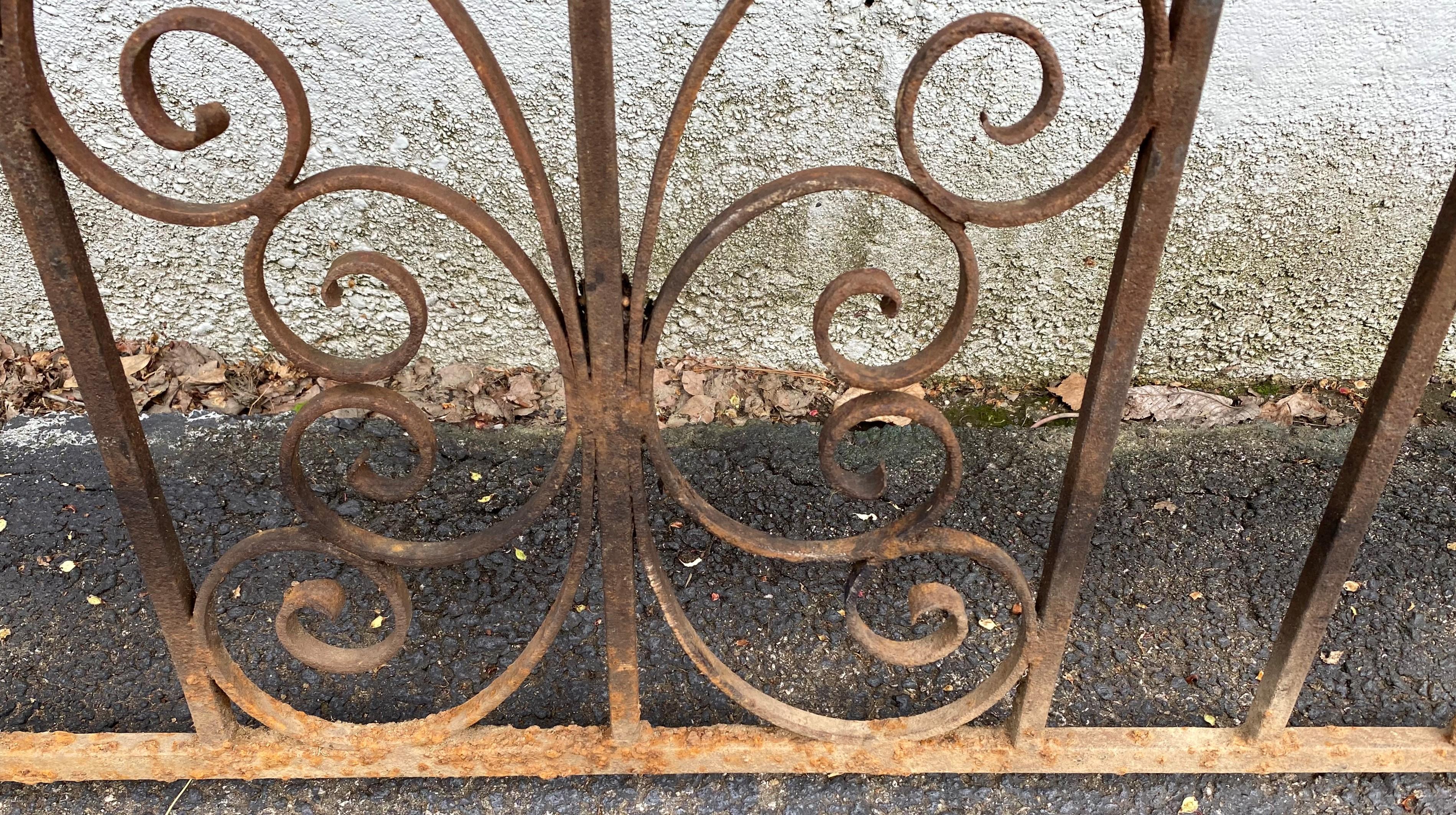 Pair of Iron Gates with Scrollwork Design For Sale at 1stDibs
