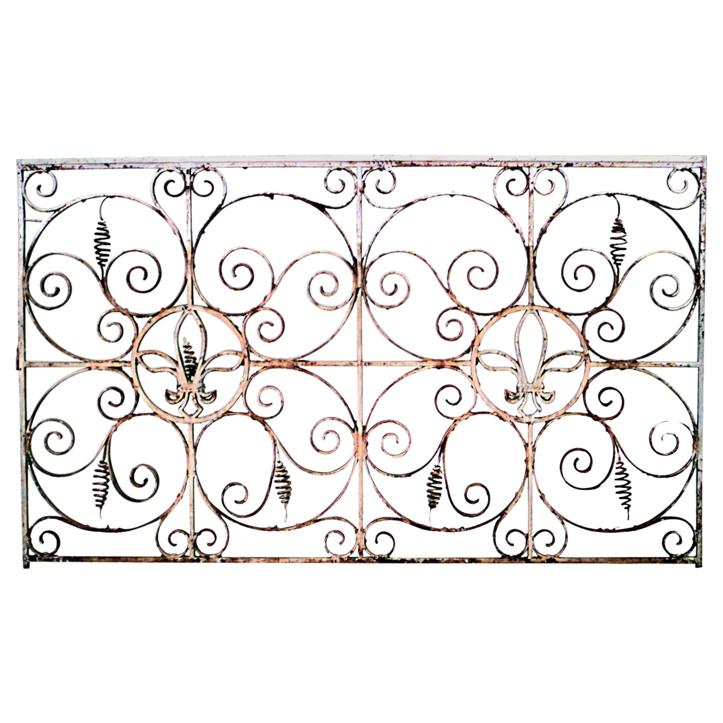 Pair of Iron Neo-Classic Iron Scroll Gates For Sale