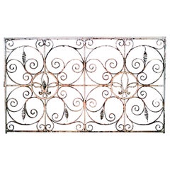 Pair of Iron Neo-Classic Iron Scroll Gates