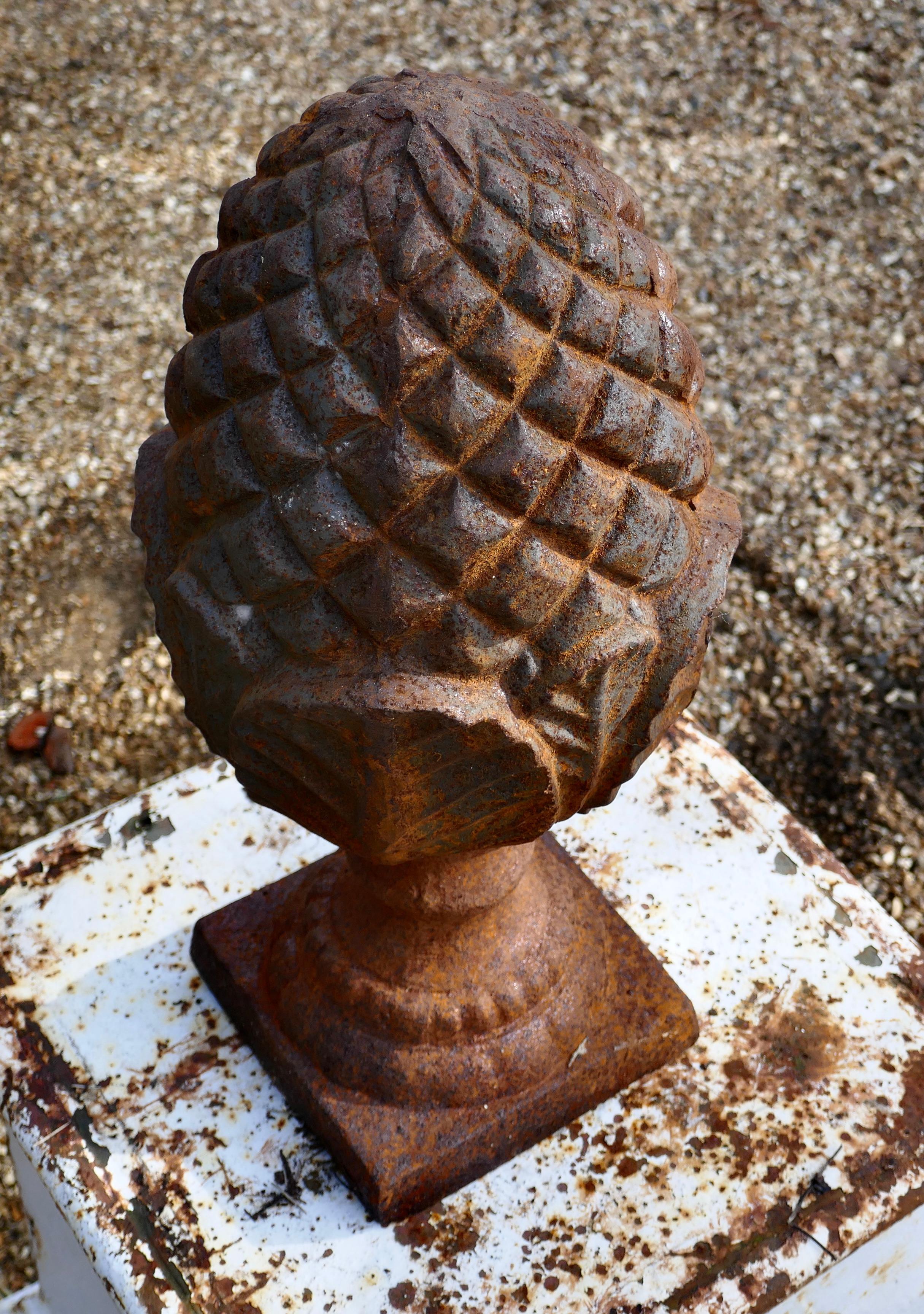cast iron pine cone