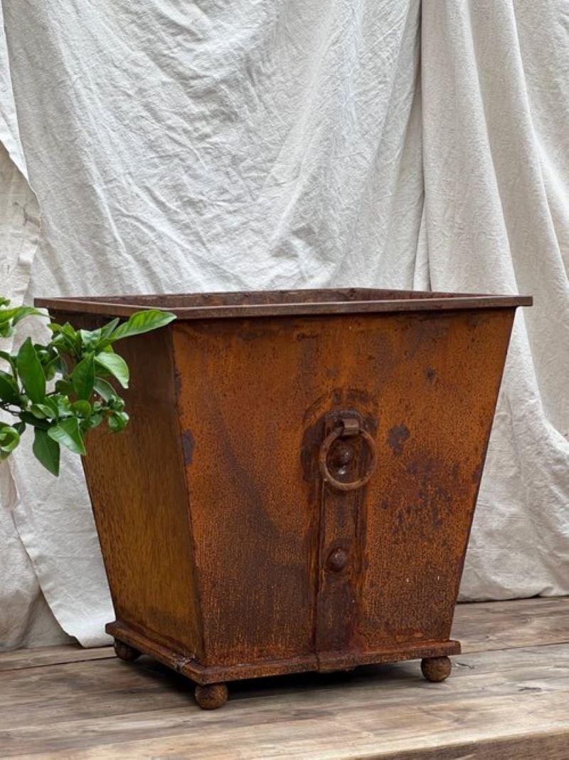 Drawing from the charm of english estate gardens, the pair of iron tapered planters with ring handles are unique as they give a beautiful corten patina. 

(set of 2)

Measurements: 19.5