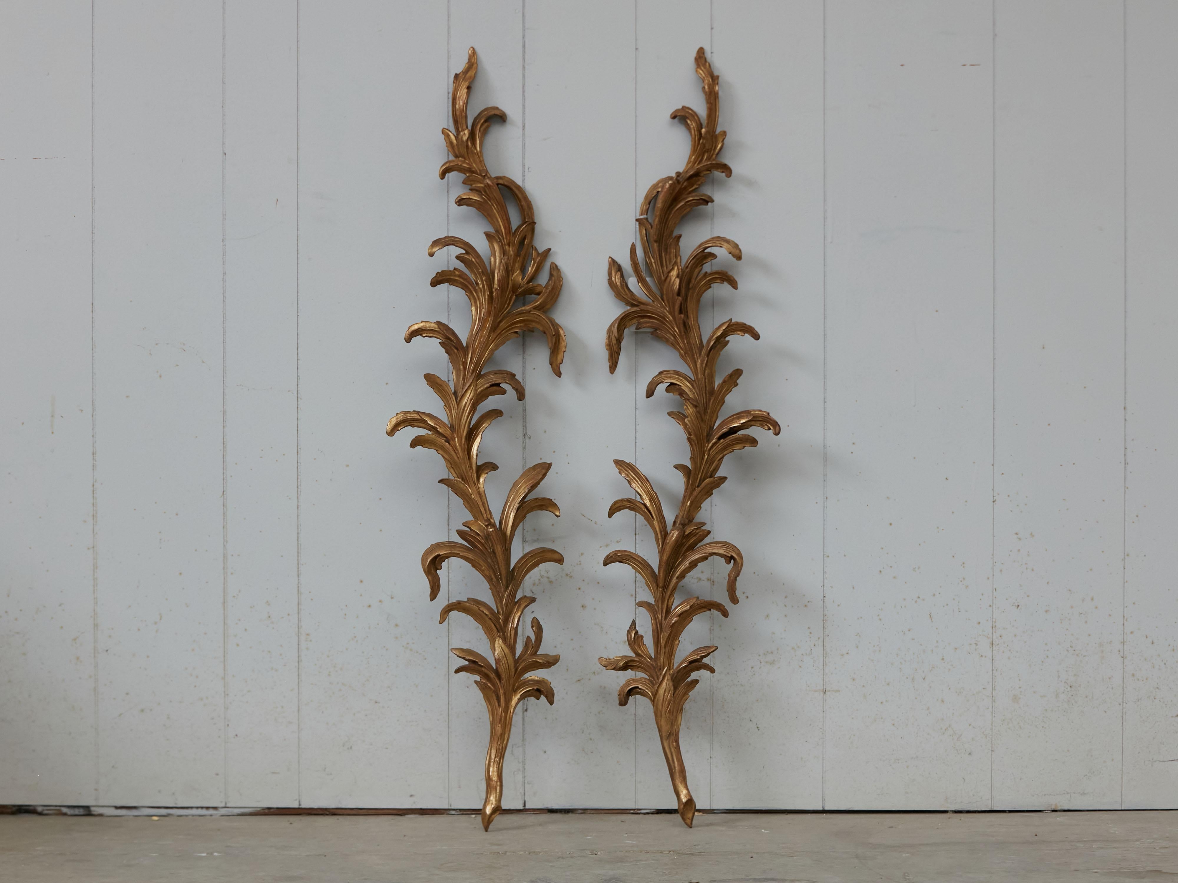 A pair of Italian carved giltwood wall decorations from the early 19th century, with scrolling foliage. We currently have two pairs available, priced and sold $5,400 per pair. Created in Italy during the first quarter of the 19th century, each of