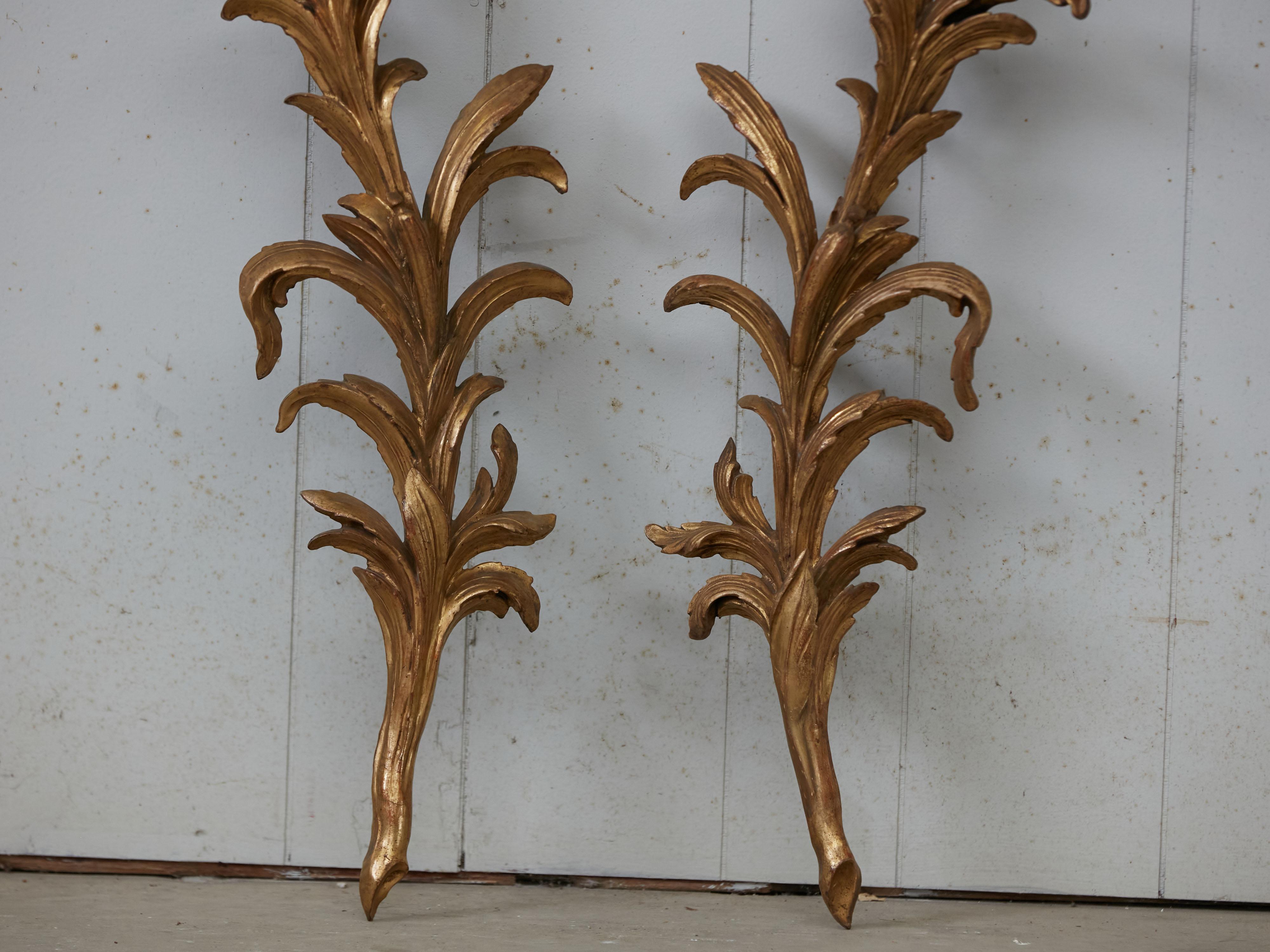 Pair of Italian 1820s Carved Giltwood Wall Fragments Depicting Scrolling Foliage In Good Condition For Sale In Atlanta, GA