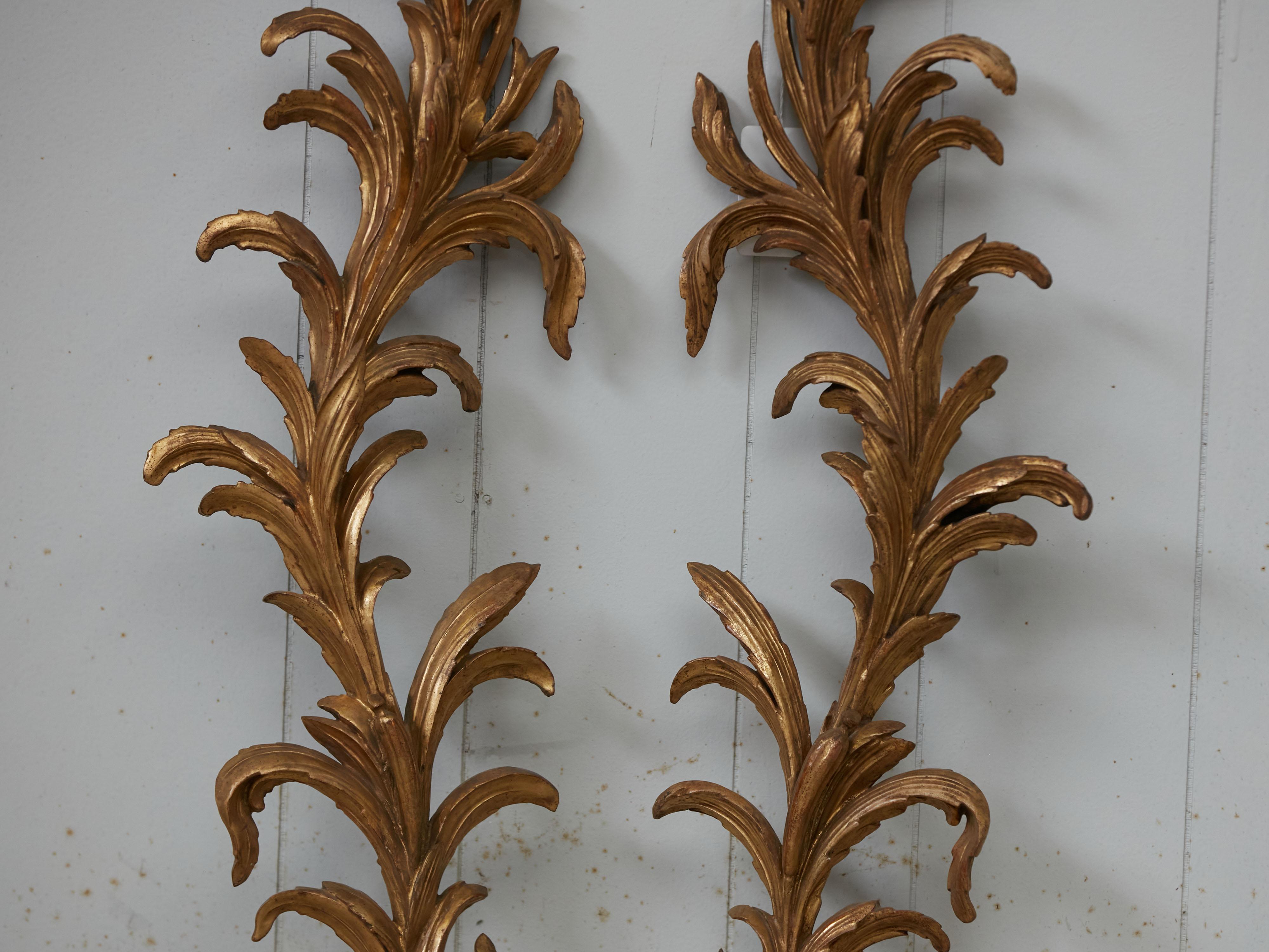 19th Century Pair of Italian 1820s Carved Giltwood Wall Fragments Depicting Scrolling Foliage For Sale