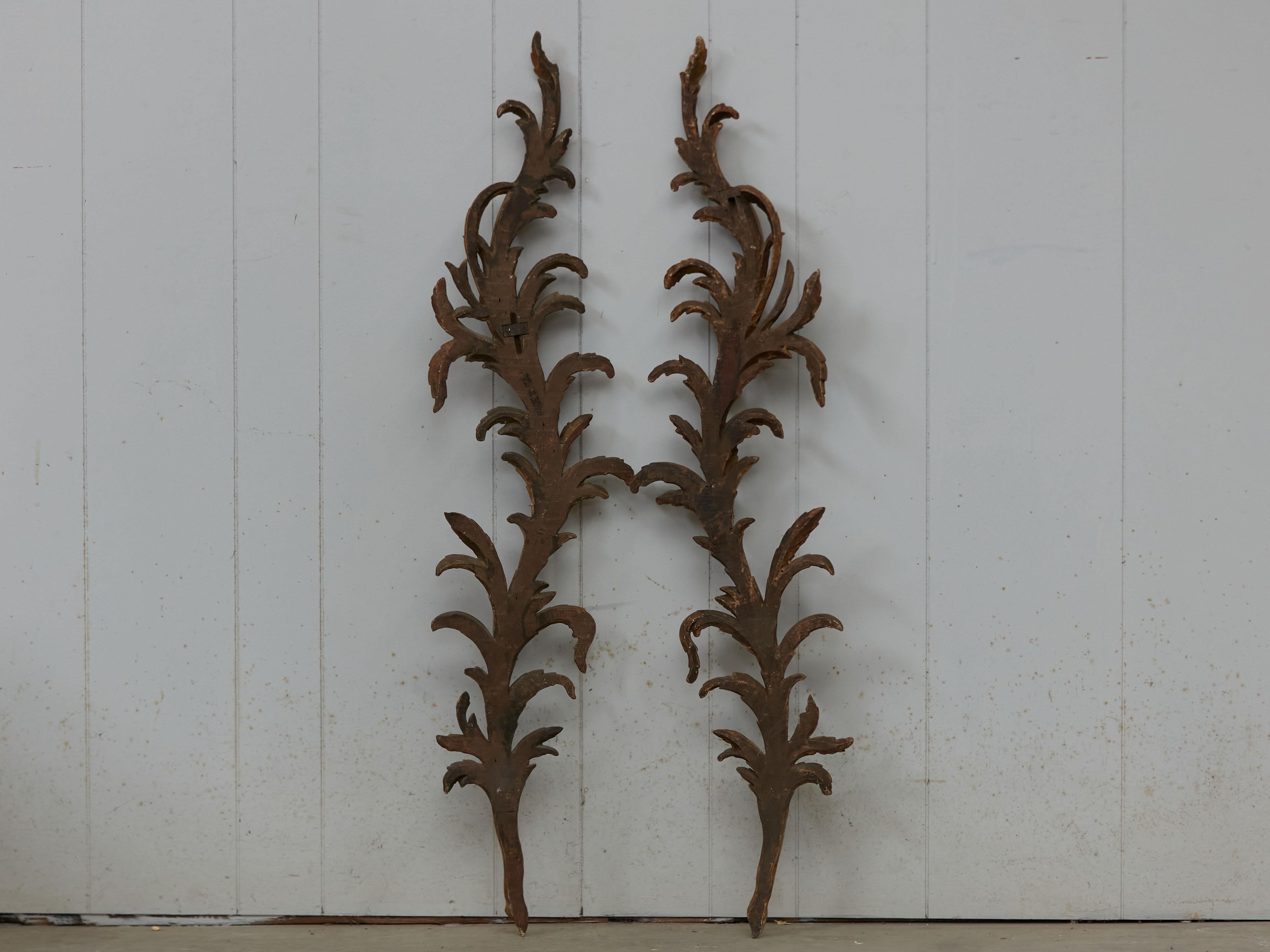 Pair of Italian 1820s Carved Giltwood Wall Fragments Depicting Scrolling Foliage For Sale 1