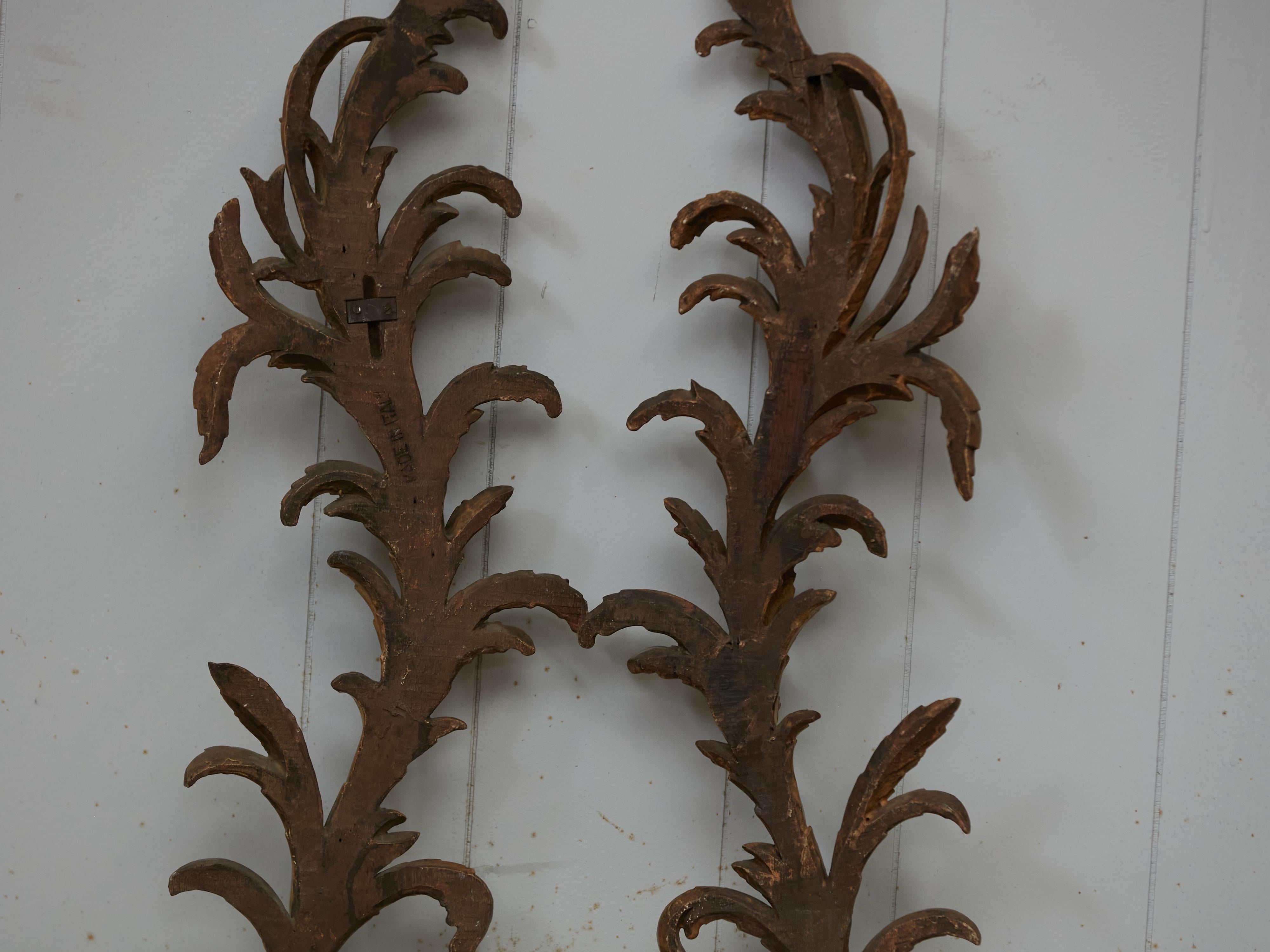 Pair of Italian 1820s Carved Giltwood Wall Fragments Depicting Scrolling Foliage For Sale 3