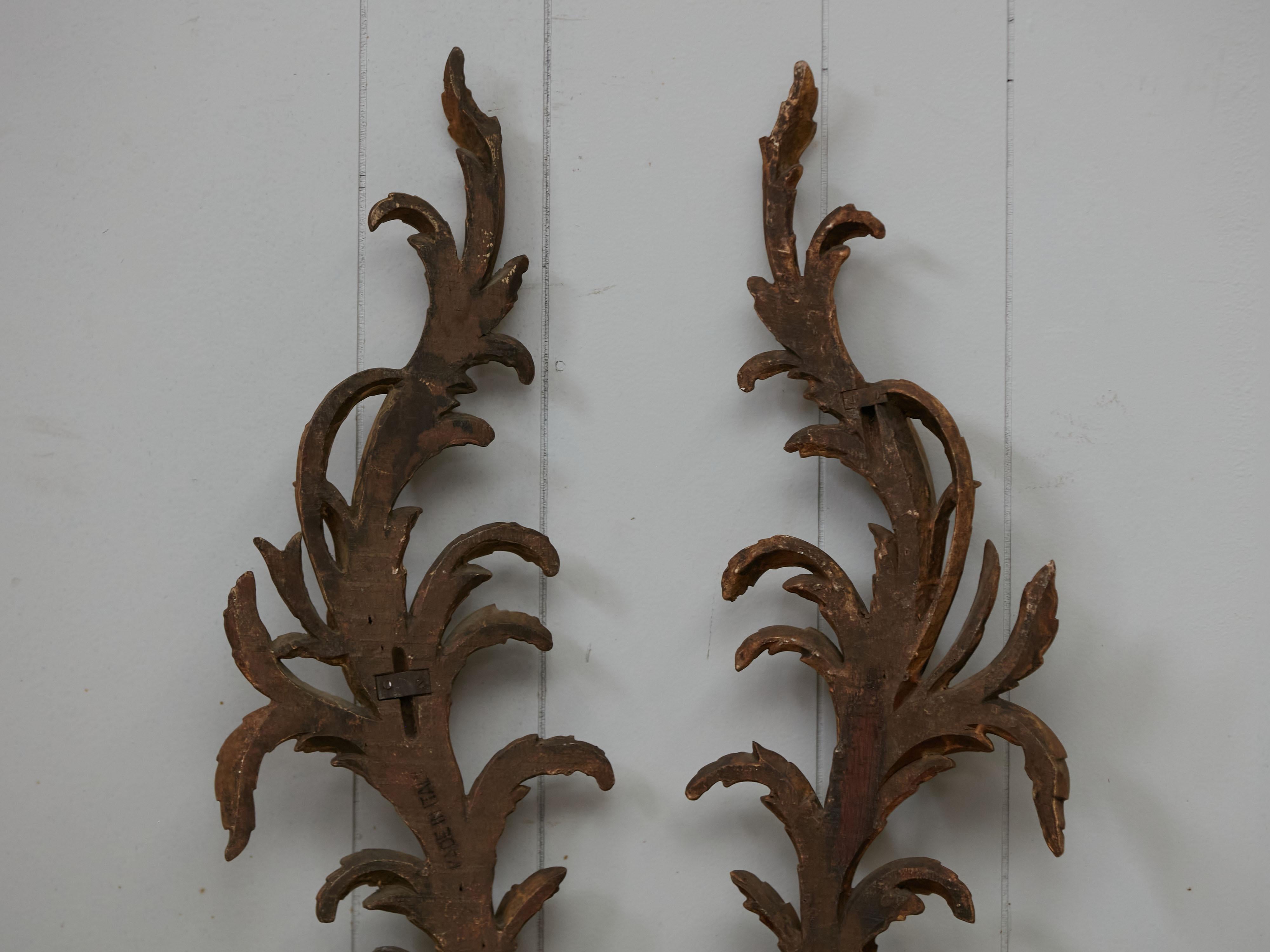 Pair of Italian 1820s Carved Giltwood Wall Fragments Depicting Scrolling Foliage For Sale 4