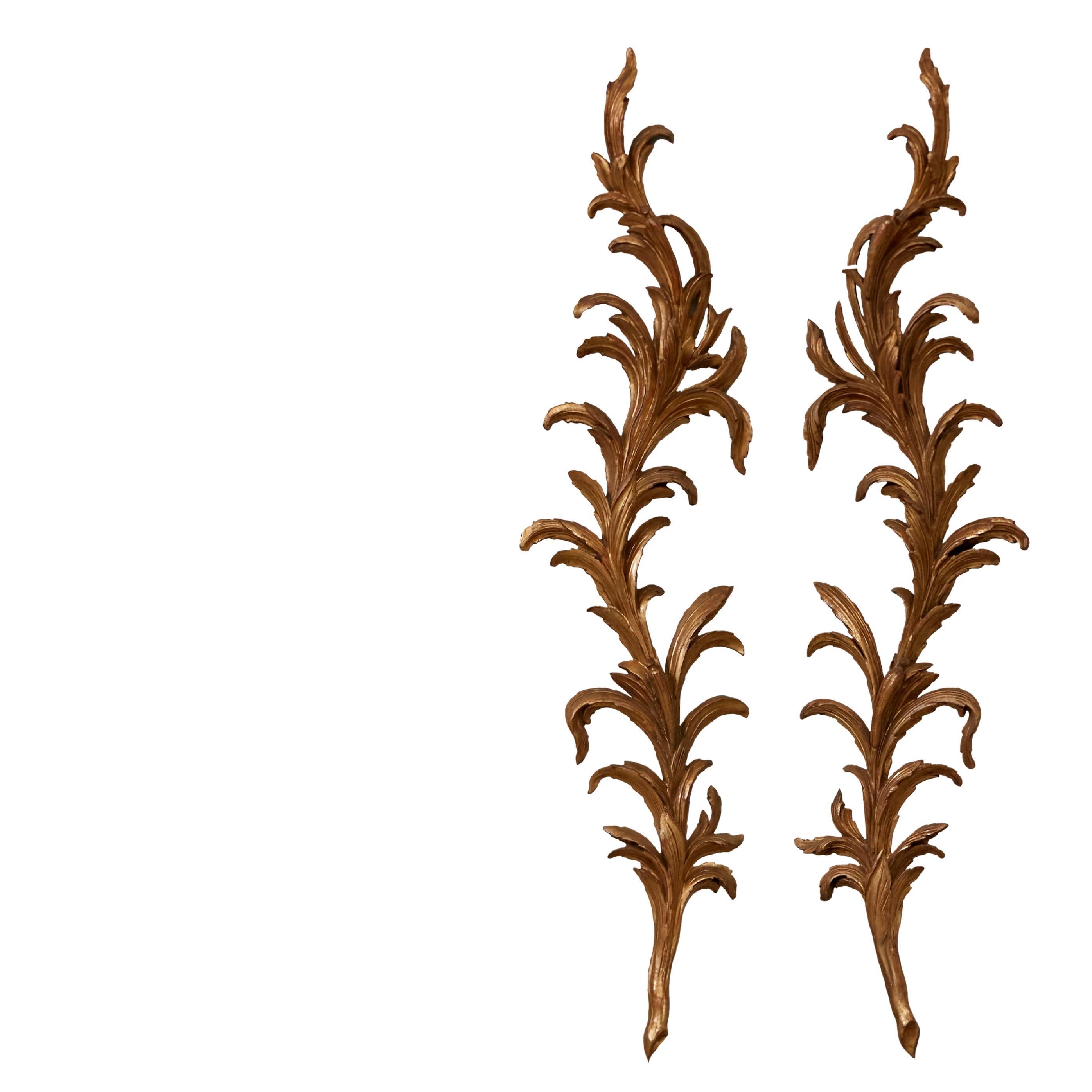 Pair of Italian 1820s Carved Giltwood Wall Fragments Depicting Scrolling Foliage For Sale