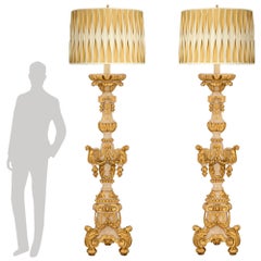 Pair of Italian 18th Century Baroque Period Patinated and Giltwood Floor Lamps
