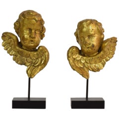 Pair of Italian 18th Century Carved Giltwood Baroque Angel Heads Pair of Italian 18th Century Carved Giltwood Baroque Angel Heads