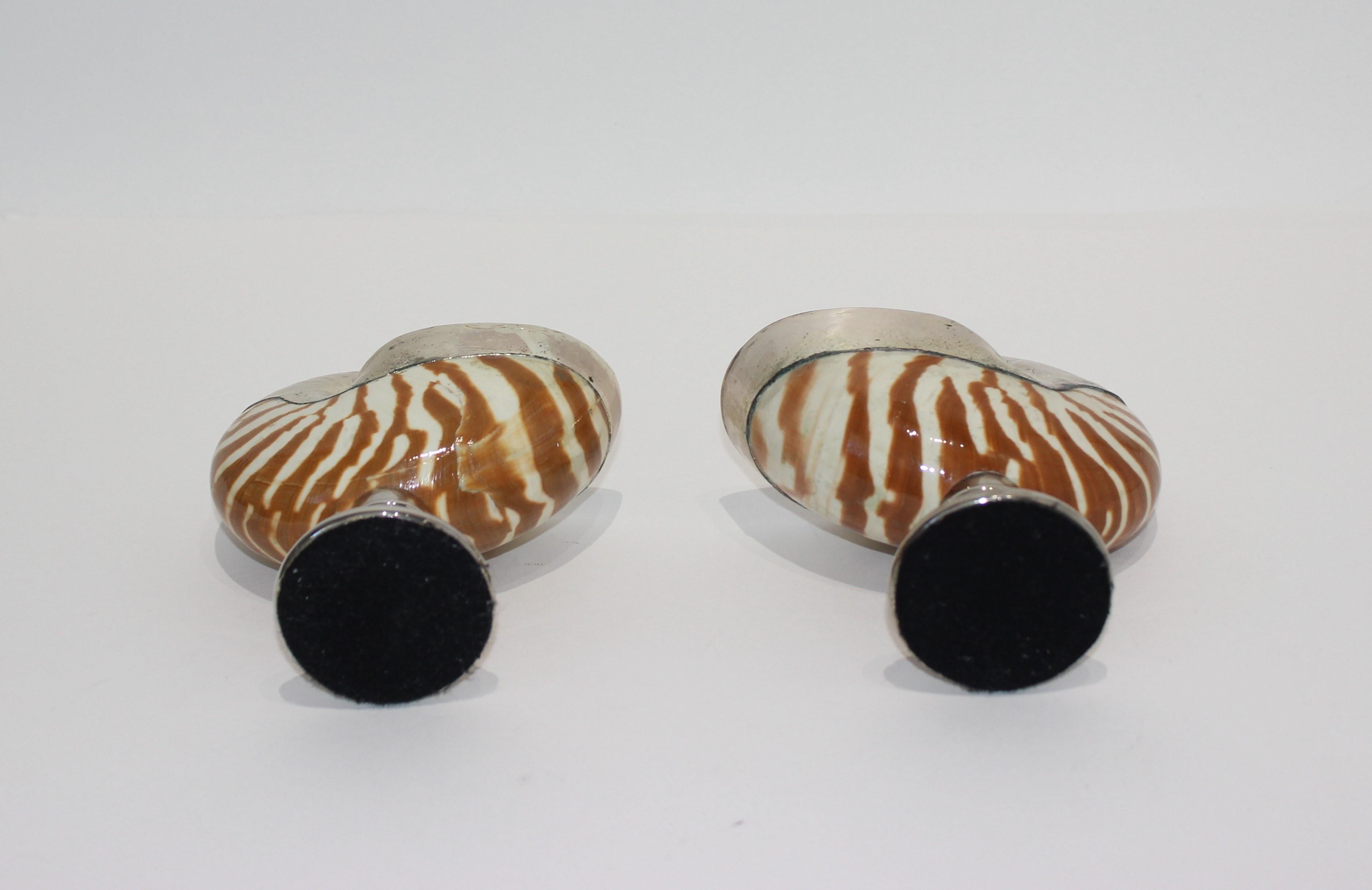 20th Century Pair of Italian 1950s Nautilus Silver Plated Candleholders