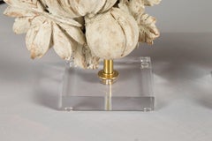 Coppia di frammenti di frutta e fogliame intagliati del XIX secolo su basi di lucite