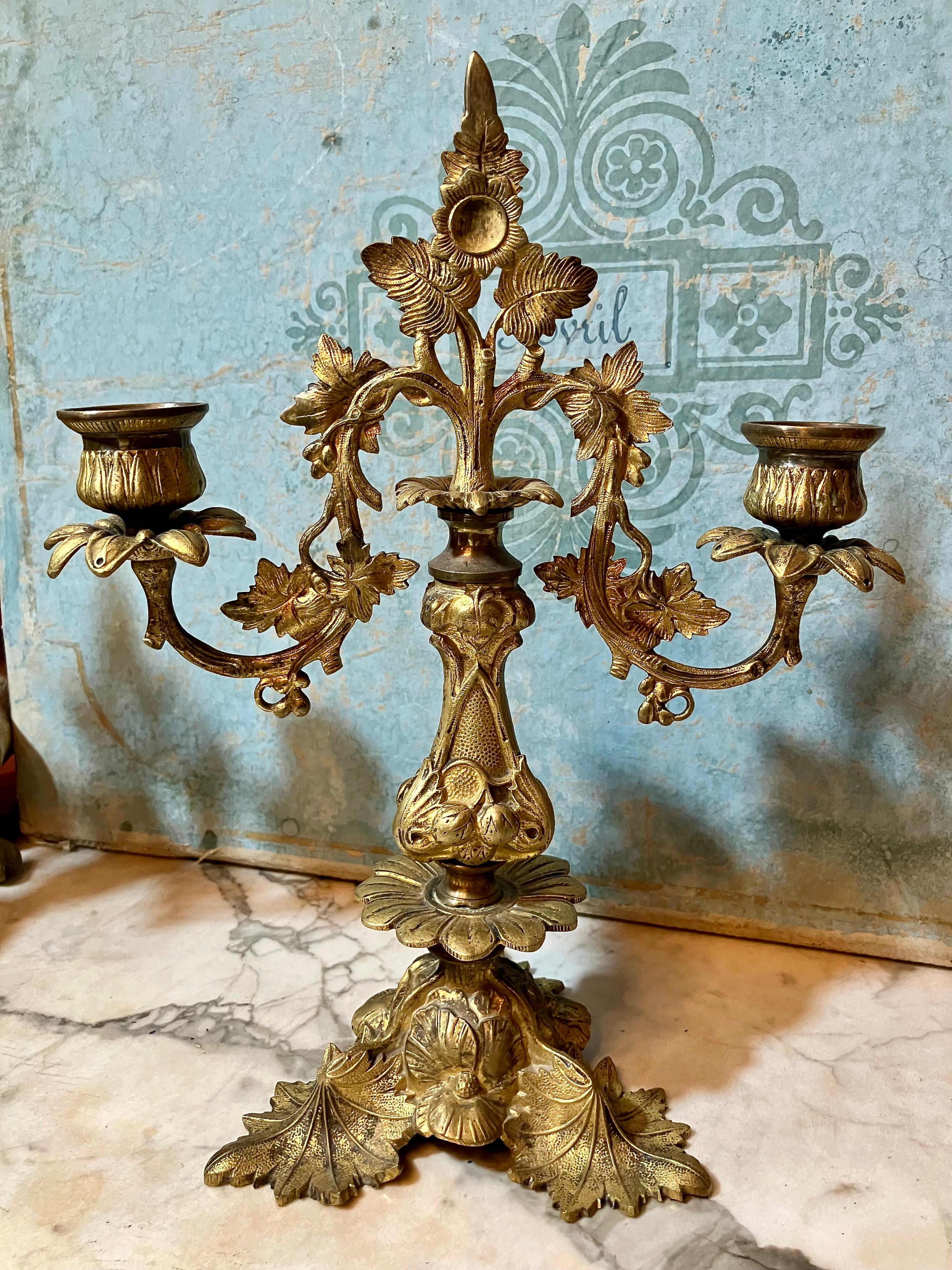 Pair of Italian 19th Century Gilt Bronze Two-Light Candelabra Organic Pattern For Sale 7