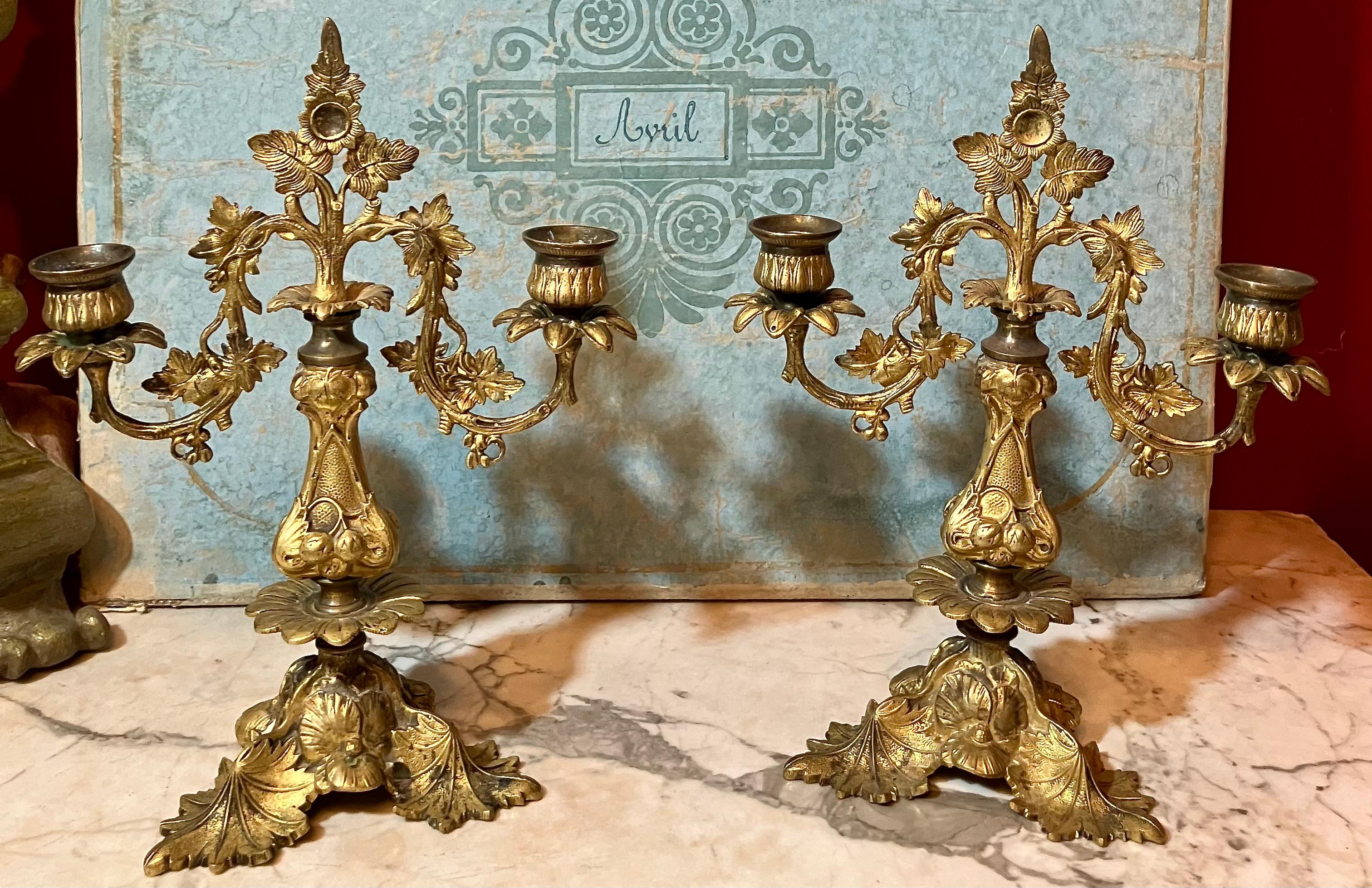 These charming gilded bronze candelabra, crafted in 19th century Italy, showcase the exquisite artistry of their era. Each piece is designed to hold two candles and features intricate naturalistic motifs, creating a captivating interplay of light