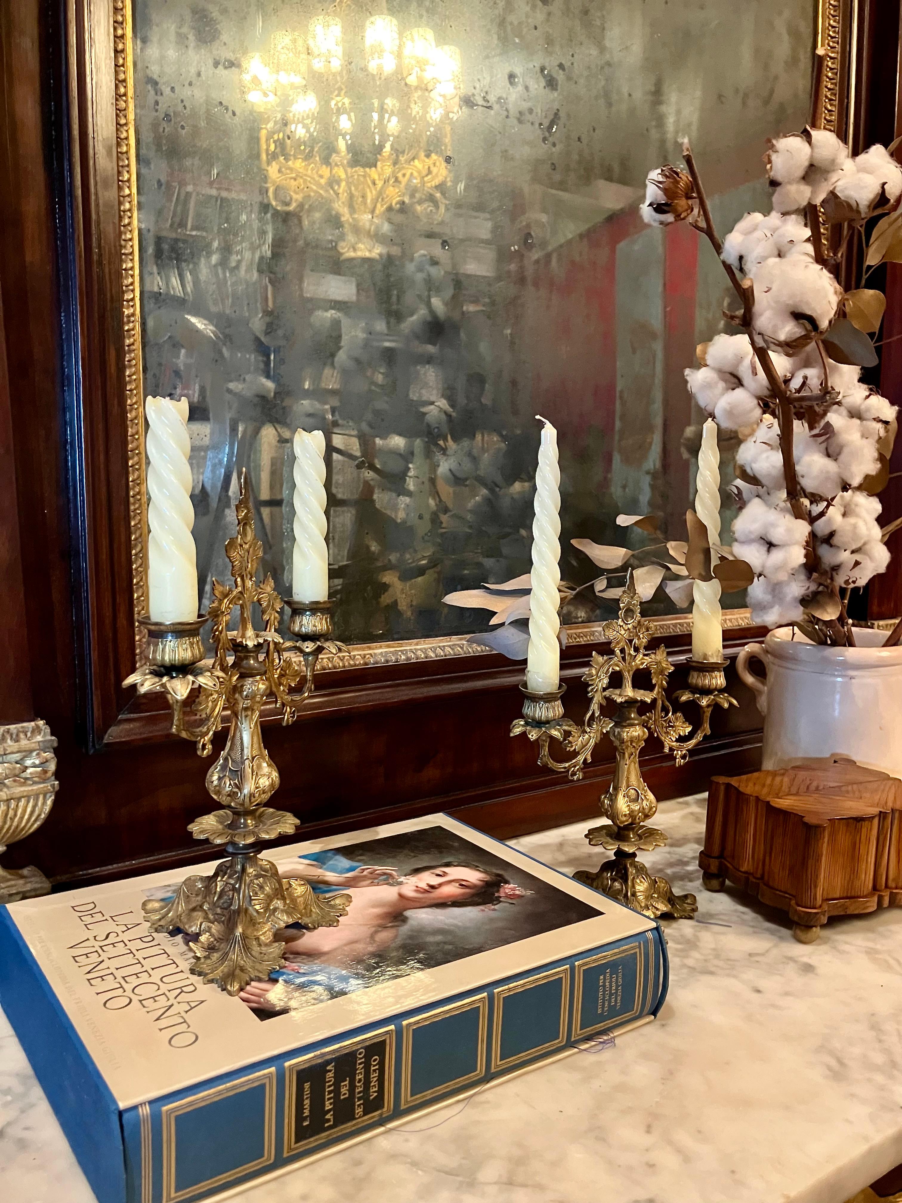 Hand-Carved Pair of Italian 19th Century Gilt Bronze Two-Light Candelabra Organic Pattern For Sale