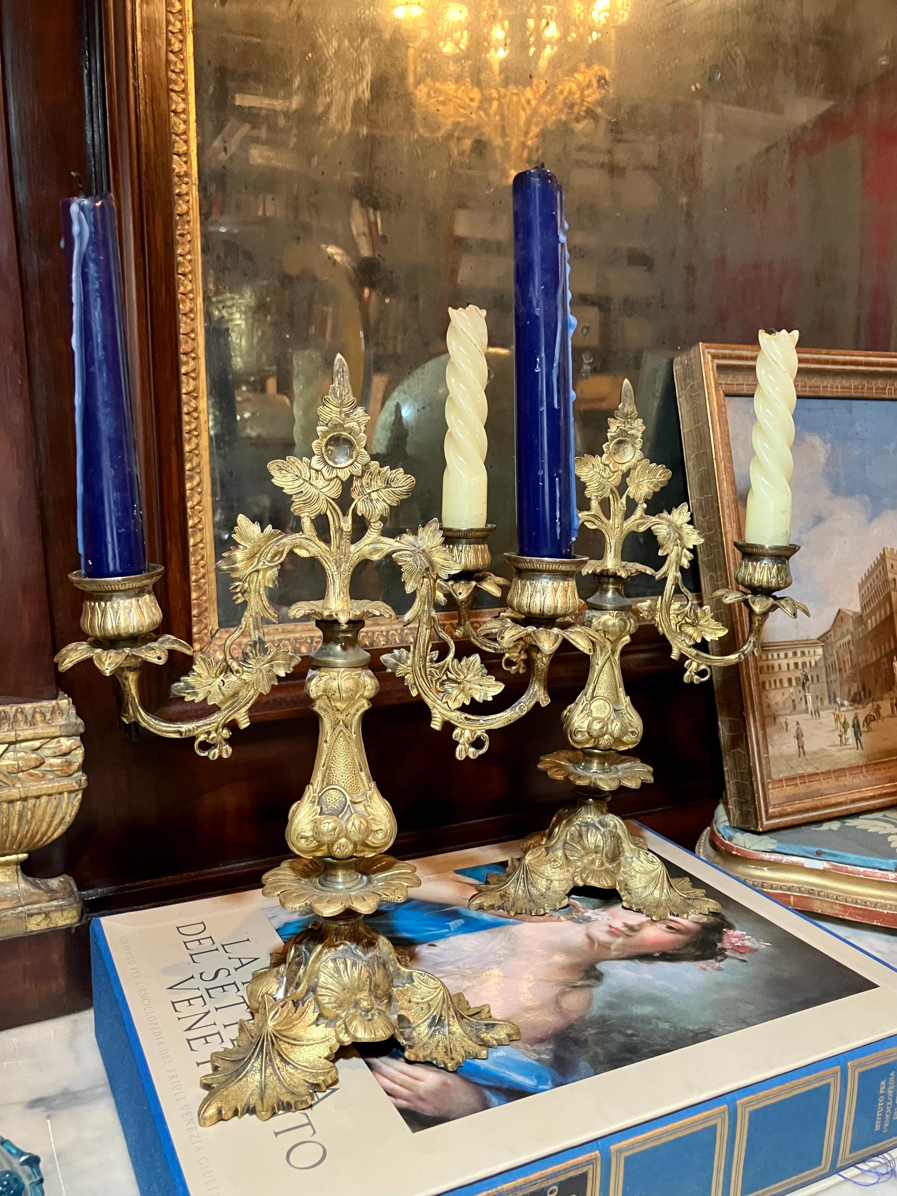 Pair of Italian 19th Century Gilt Bronze Two-Light Candelabra Organic Pattern For Sale 2