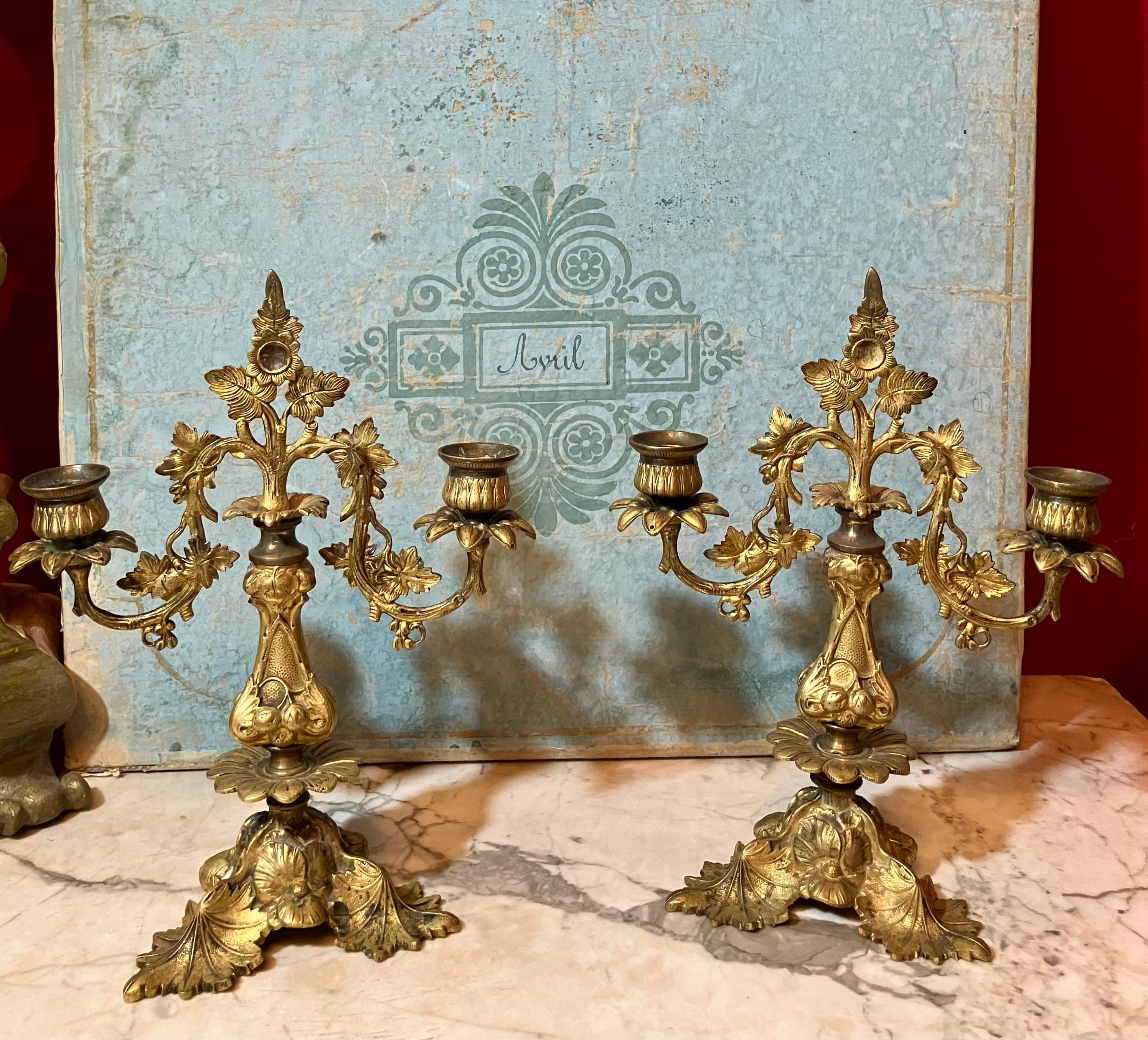 Pair of Italian 19th Century Gilt Bronze Two-Light Candelabra Organic Pattern For Sale 4