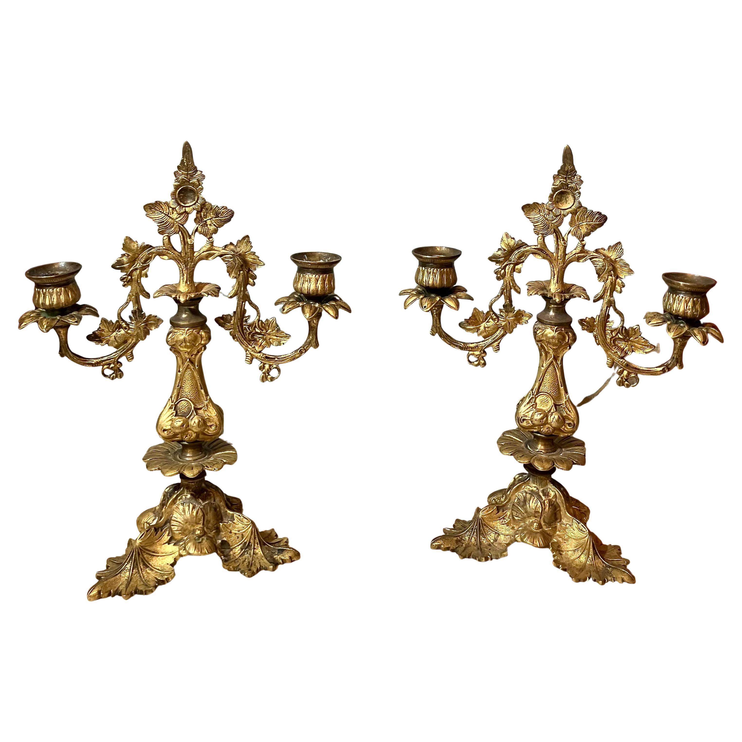 Pair of Italian 19th Century Gilt Bronze Two-Light Candelabra Organic Pattern For Sale