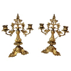 Paire de chandeliers italiens du XIXe siècle en bronze doré à deux lumières à motif organique