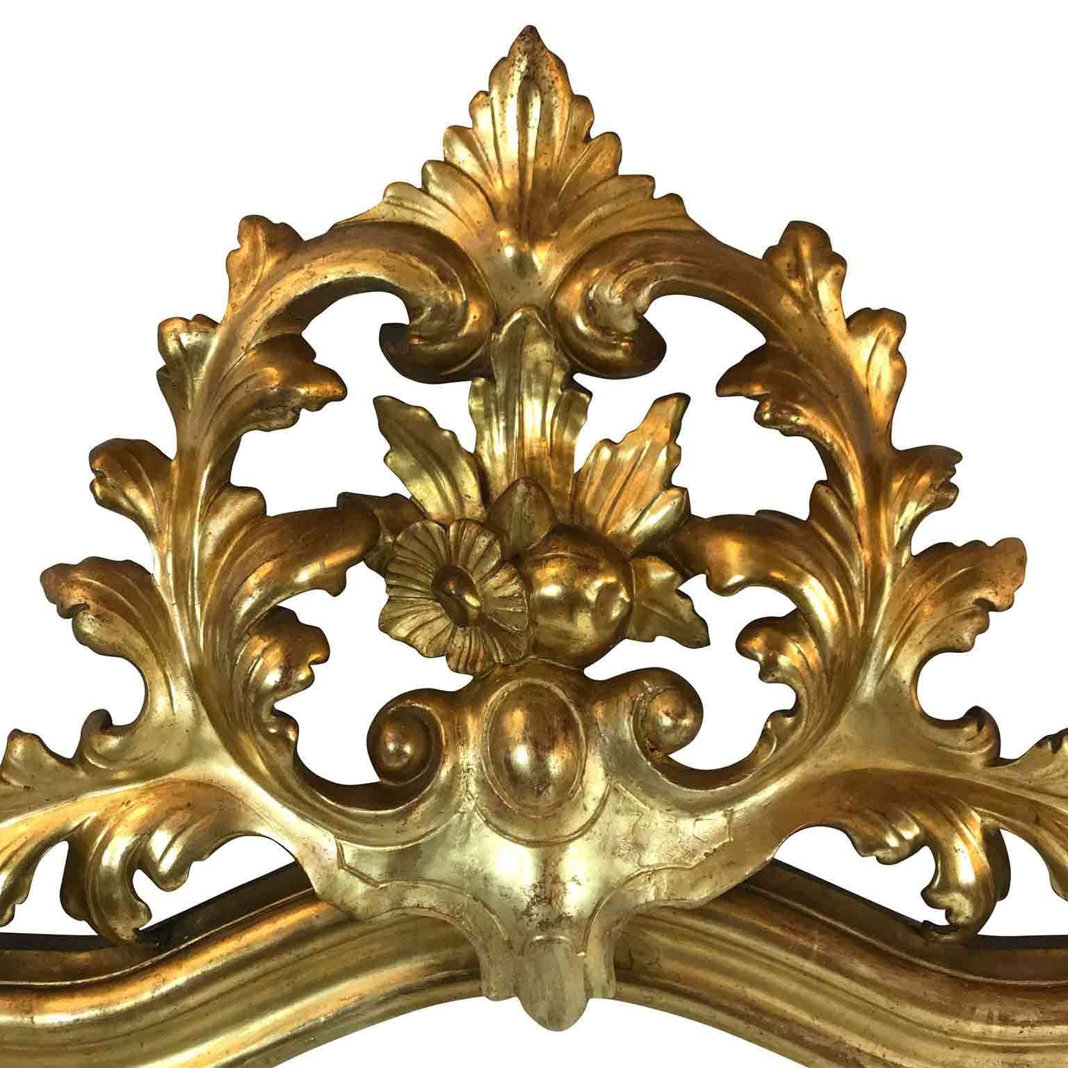 Pair of Italian Giltwood Mirrors 19th Century Neapolitan Louis Philippe Carving 4