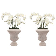 Pair of Italian 19th Century Louis XVI St. Marble Urns