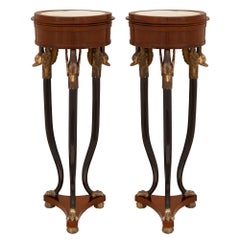 Antique Pair of Italian 19th Century Neoclassical St. Pedestals