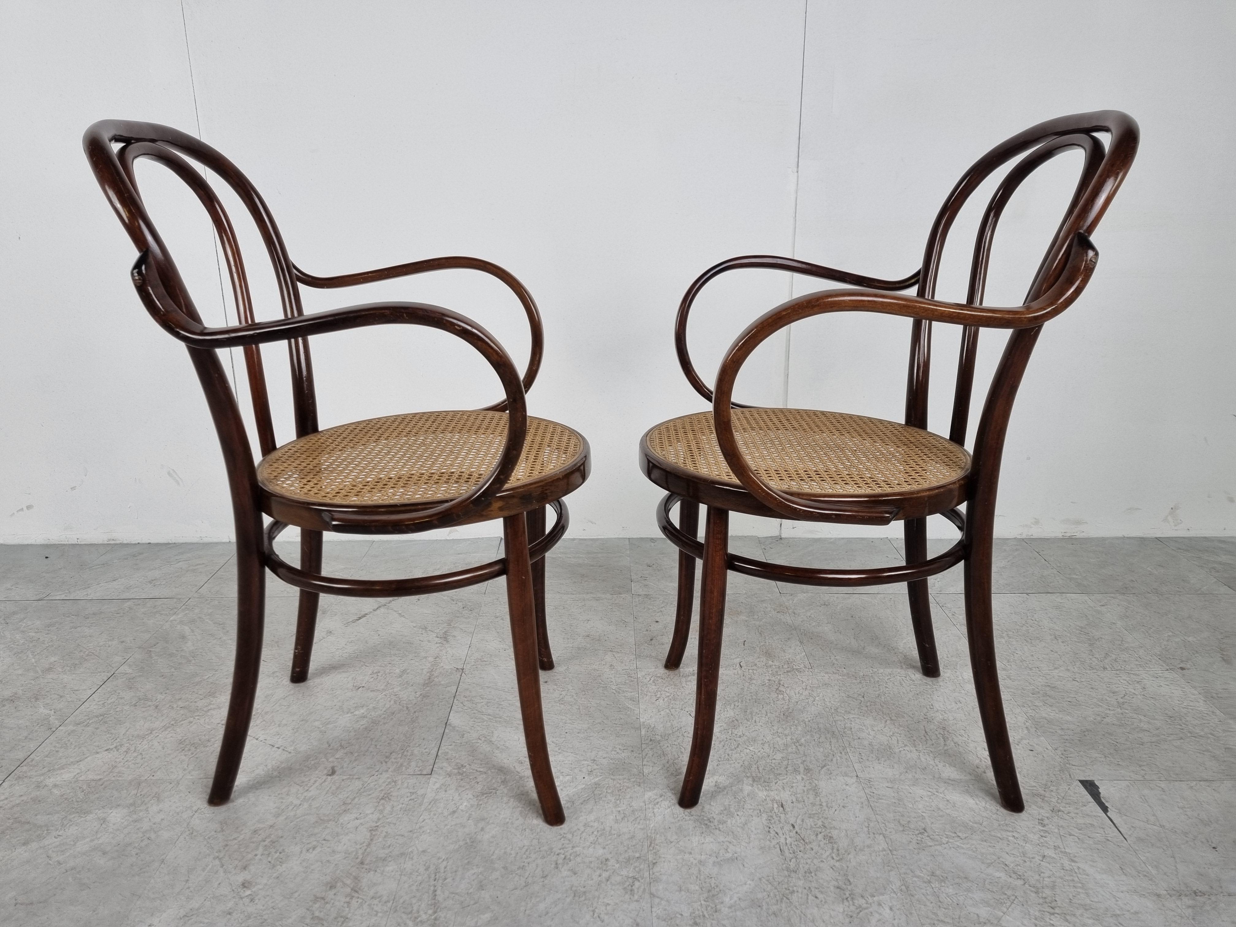 Cane Pair of Italian Bentwood Armchairs, 1960s