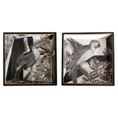 Pair of Italian Black Lacquered and Printed Wooden Square Tray