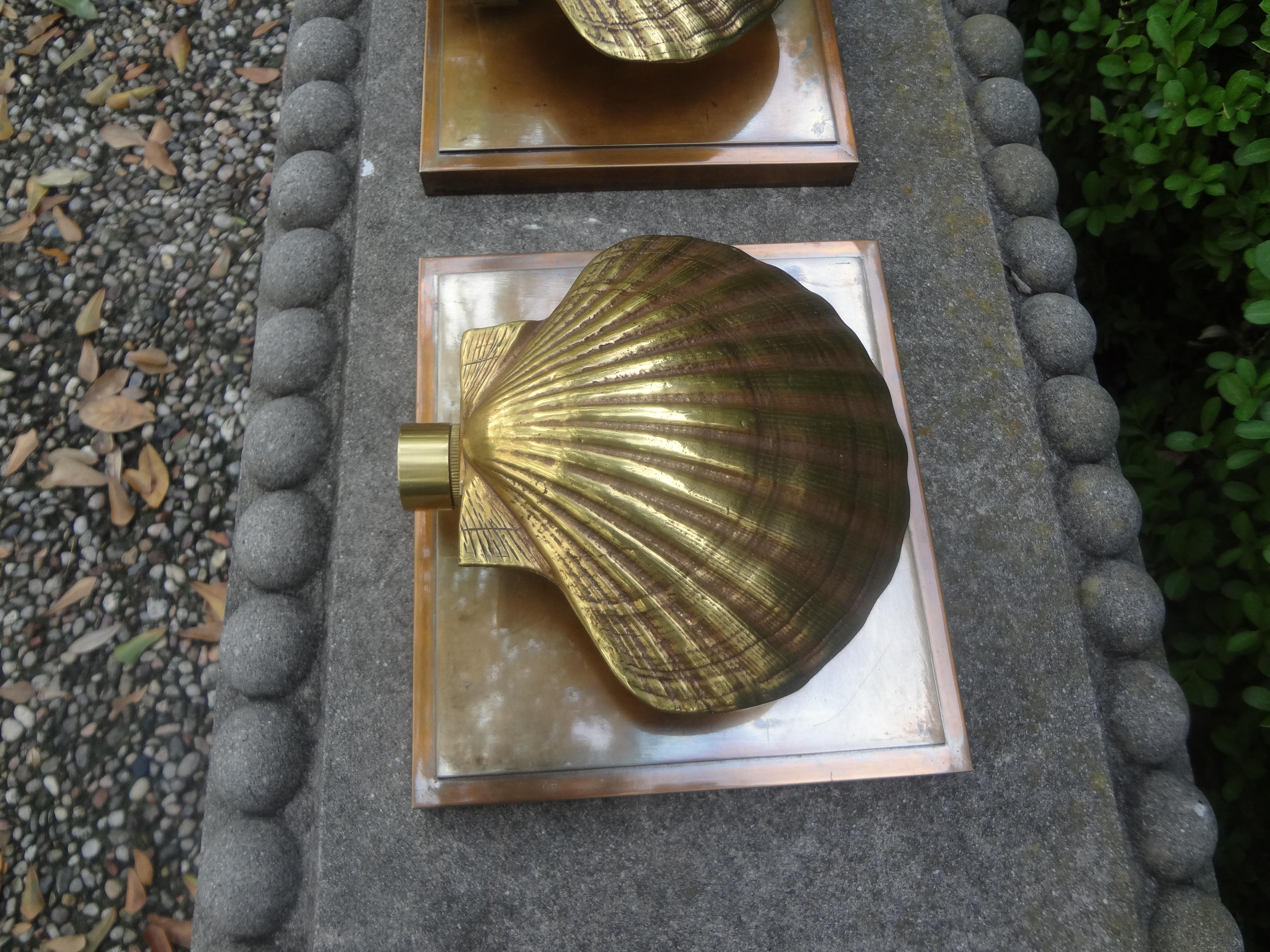 Pair of Italian Brass Seashell Sconces 3