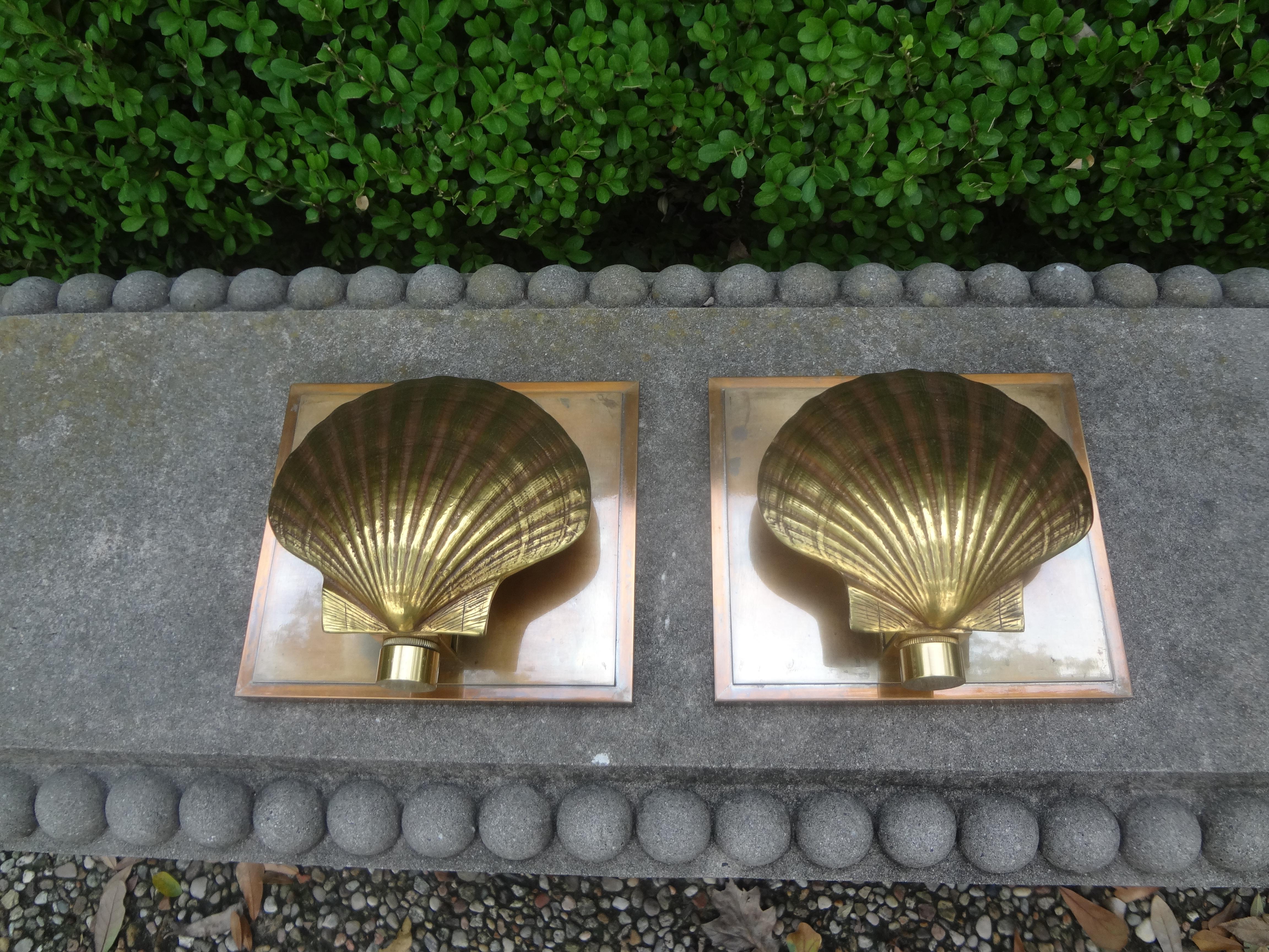 Pair of Italian Brass Seashell Sconces 4