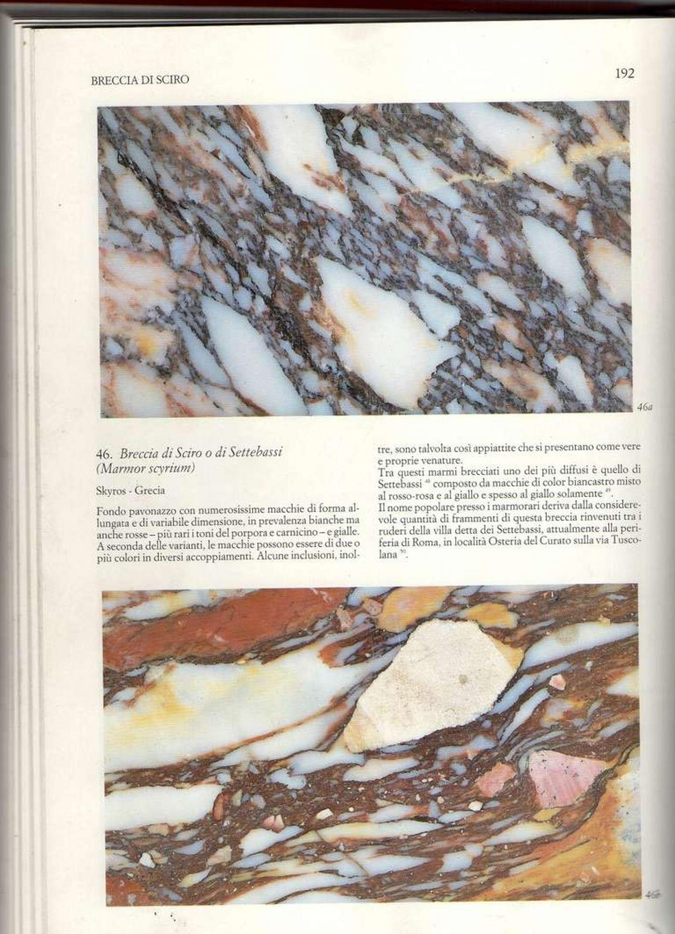 Paar italienische Konsolen aus Breccia-Marmor und Giltwood im Angebot 9