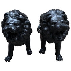 Pair of Italian Bronze Lions Medici Statues, 20th Century