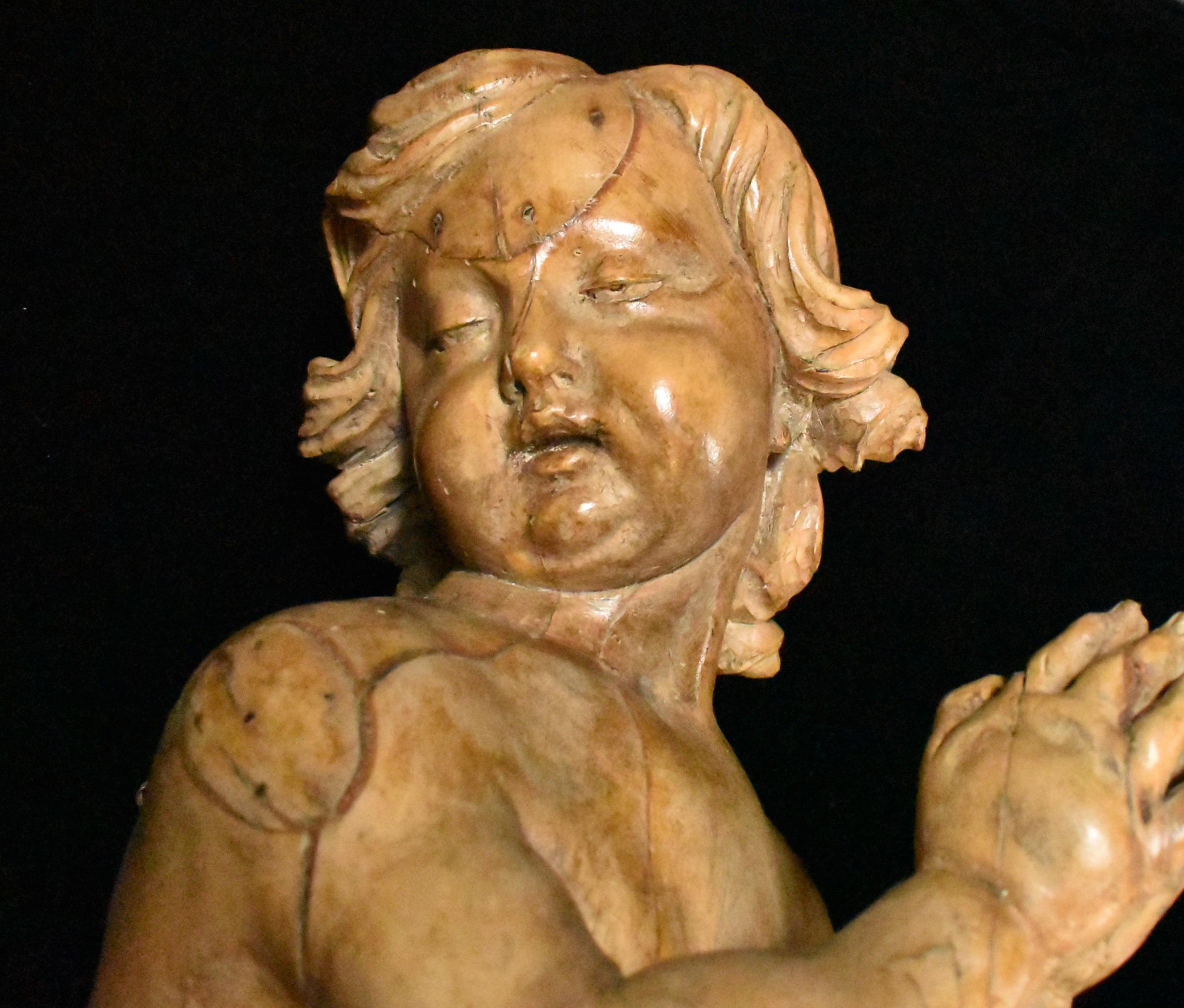 Pair of Italian Carved Fruitwood Figures of Putti, 18th Century 7