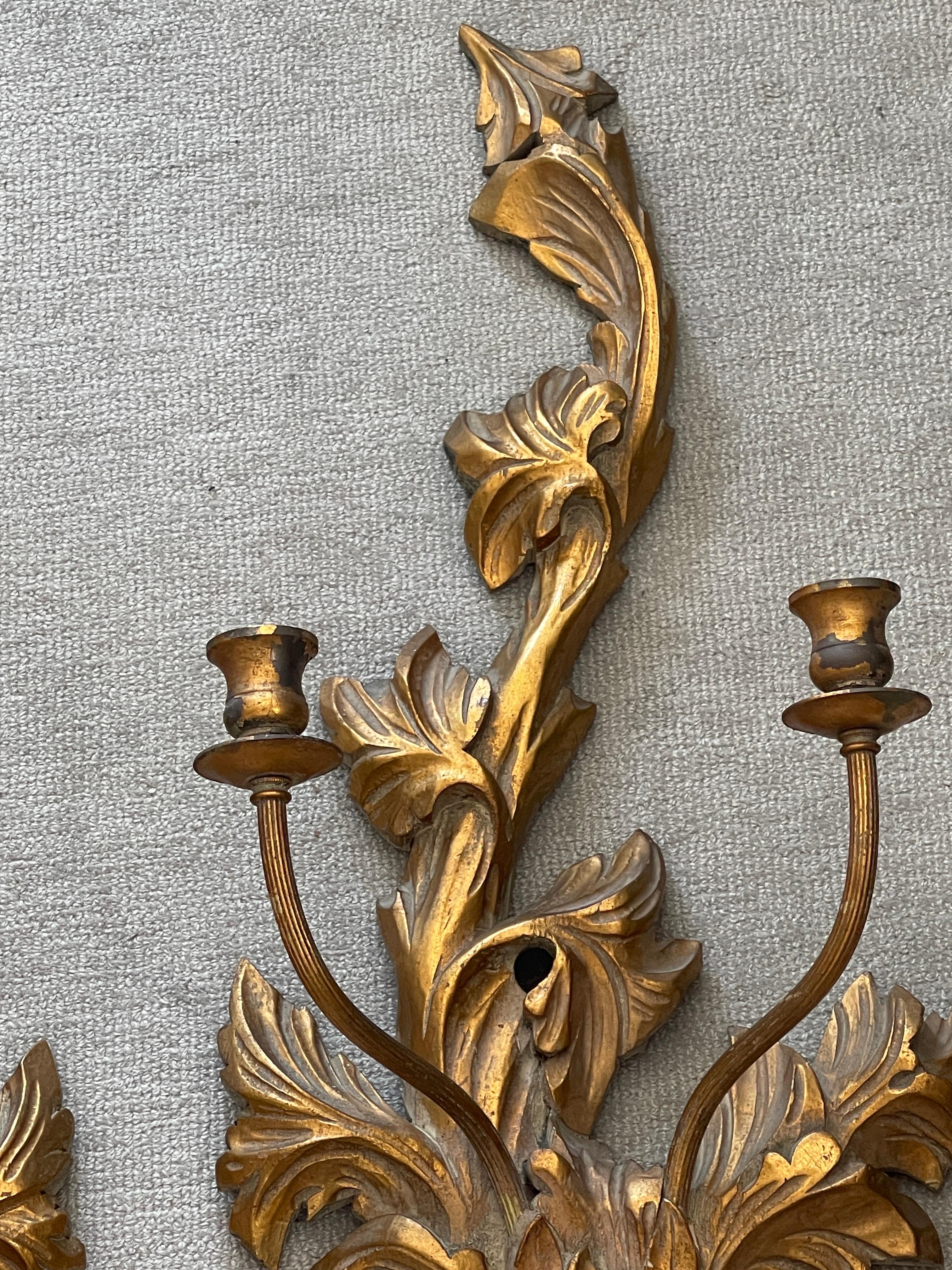 Superbe paire d'appliques murales à deux chandelles en bois italien Guild sculpté à la main.
Les chandeliers sont en métal doré, avec quelques pertes dans le bâtiment.
Voir les grandes photos pour plus de détails.
Cette paire n'est pas câblée mais