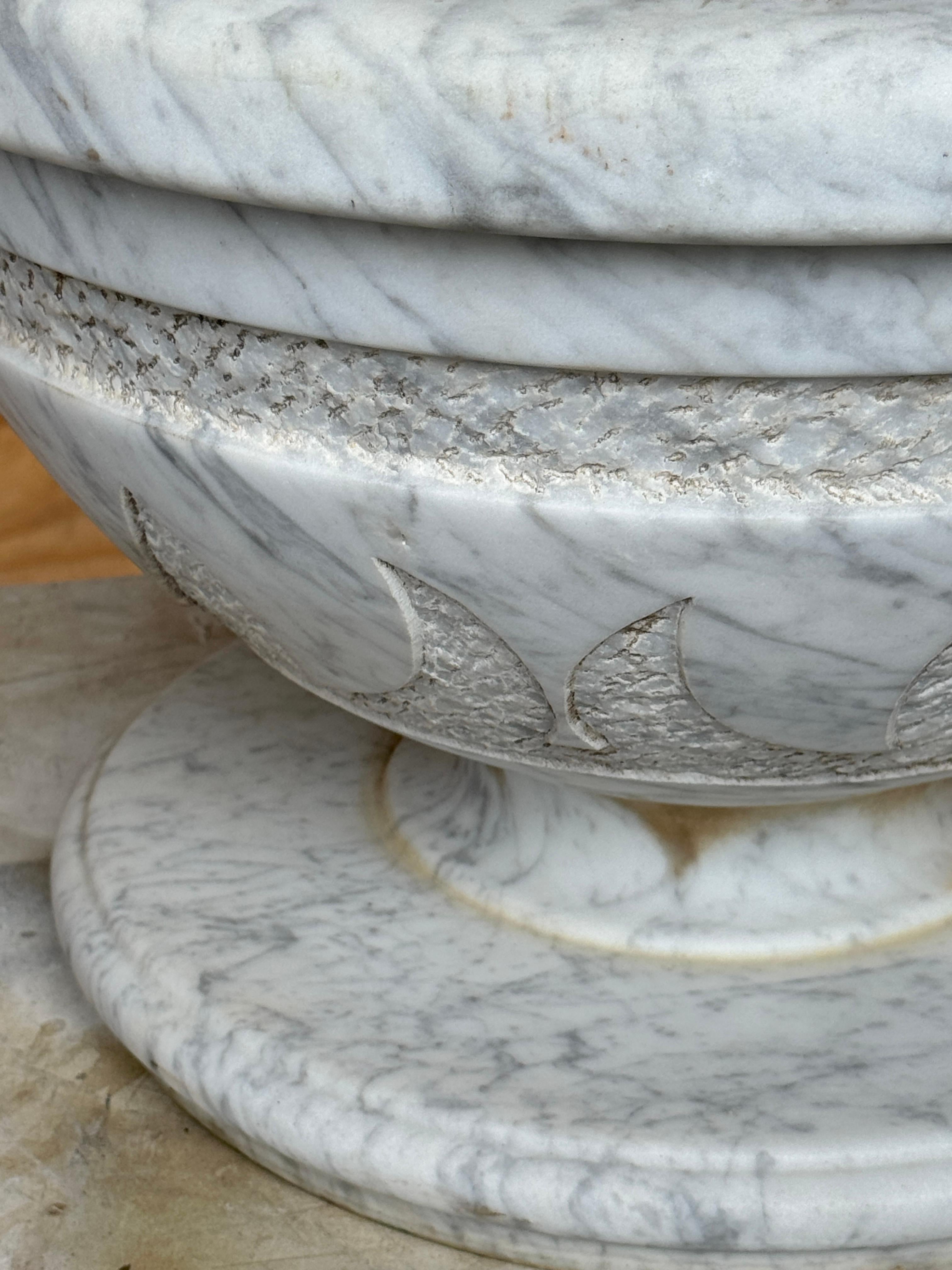 Pair of Italian Carved Marble Neoclassical Urns with Lotus Motif, Four Available im Angebot 3