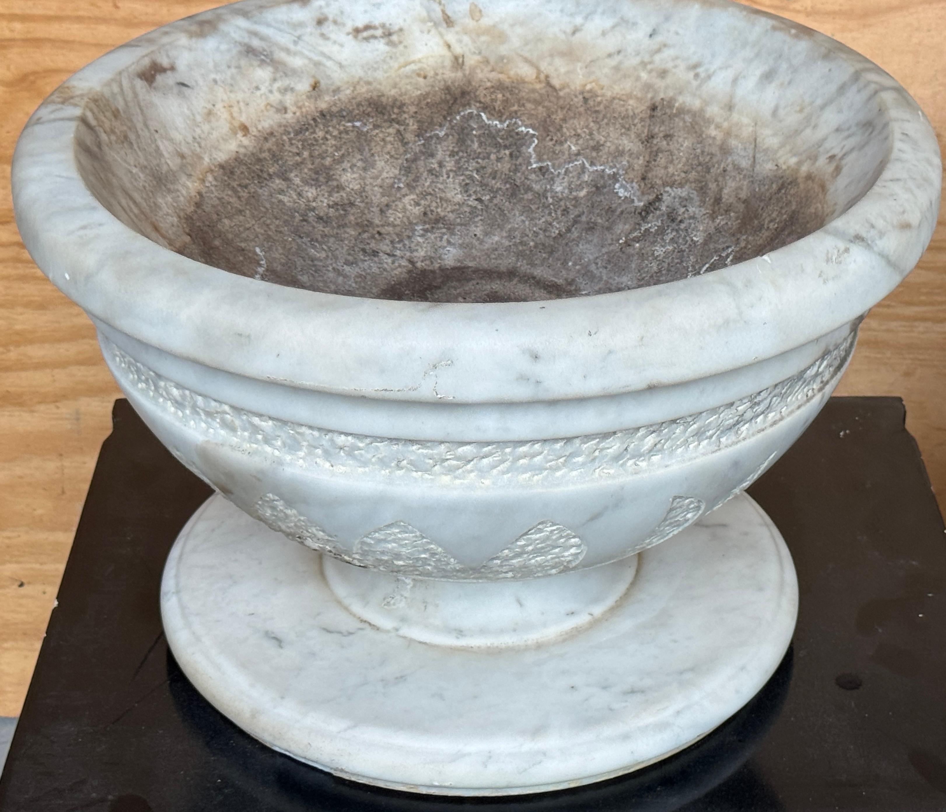 Pair of Italian Carved Marble Neoclassical Urns with Lotus Motif, Four Available im Angebot 6