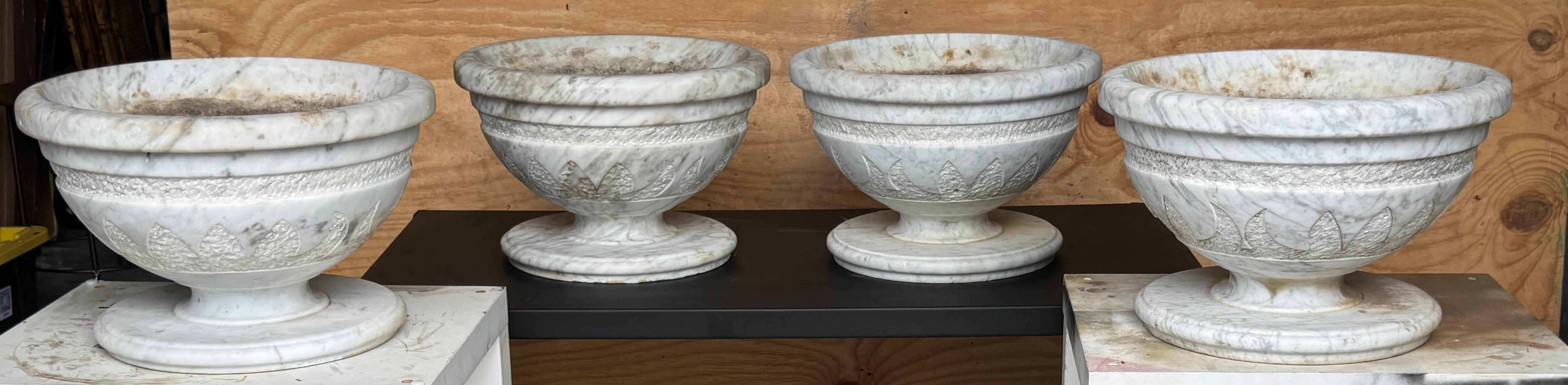 Pair of Italian Carved Marble Neoclassical Urns with Lotus Motif, Four Available, Palm Beach Estate, Sold in Pairs Only. 

Offered is a pair of strikingly sculptural Italian carved marble urns, executed in richly veined white marble. Each urn