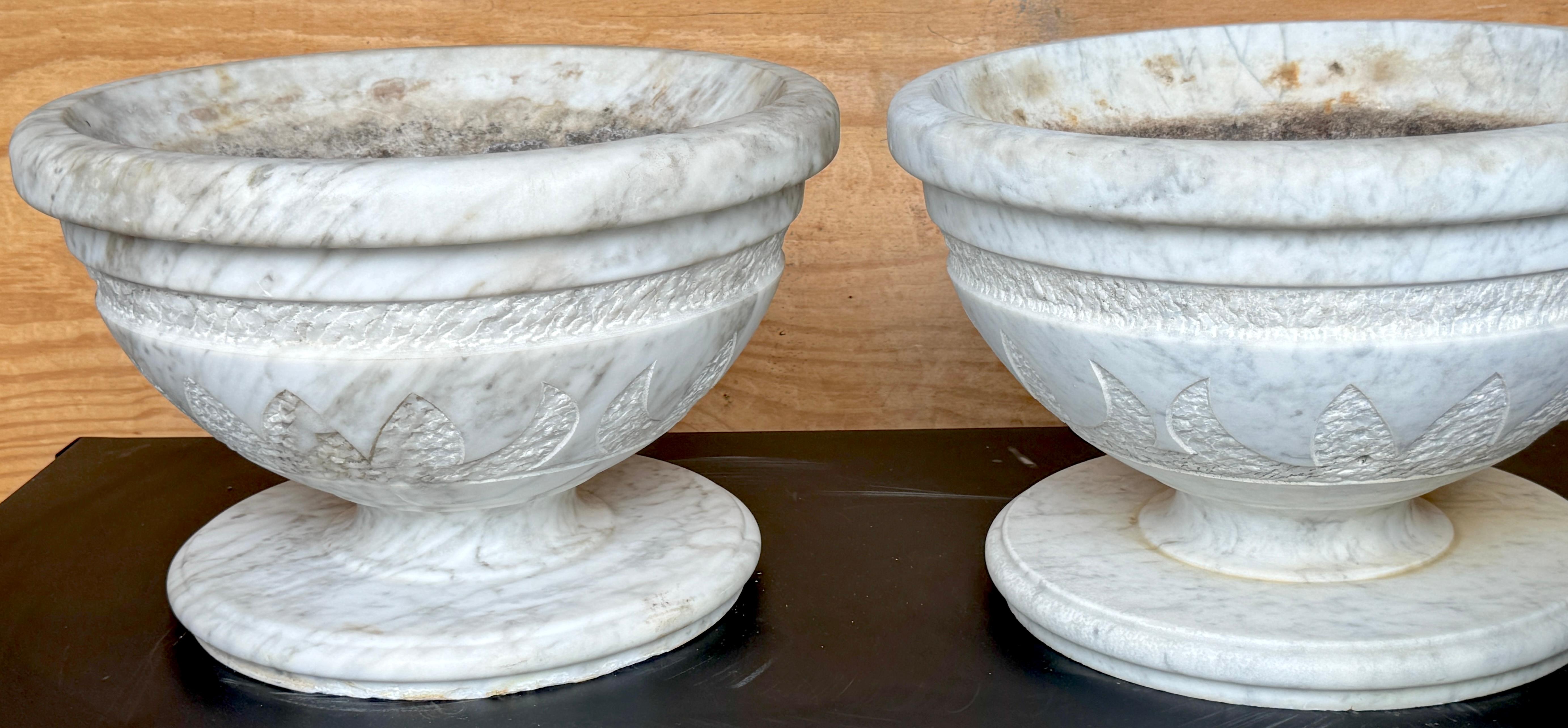 Pair of Italian Carved Marble Neoclassical Urns with Lotus Motif, Four Available (Neoklassisch) im Angebot