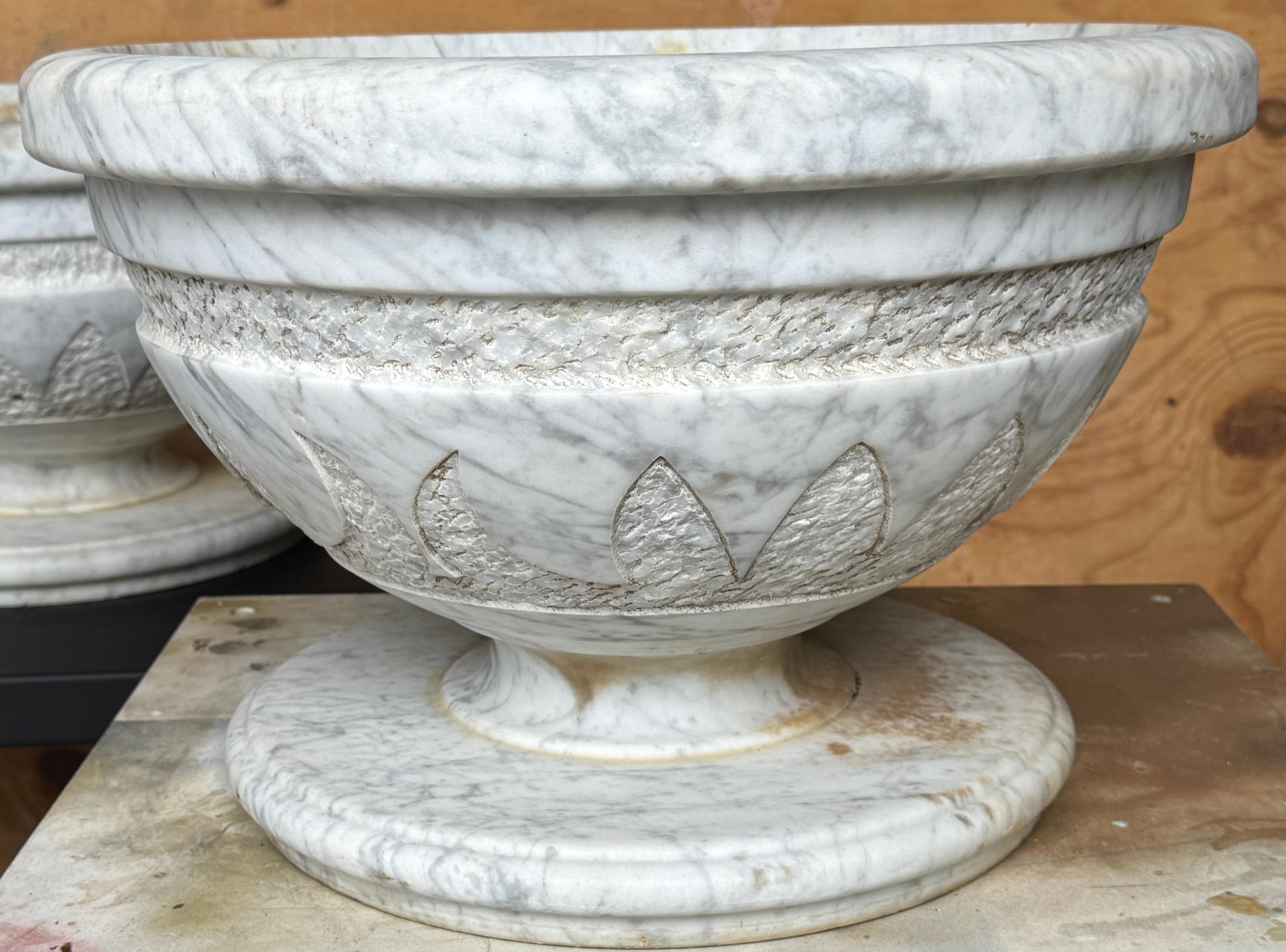 Pair of Italian Carved Marble Neoclassical Urns with Lotus Motif, Four Available (Italienisch) im Angebot