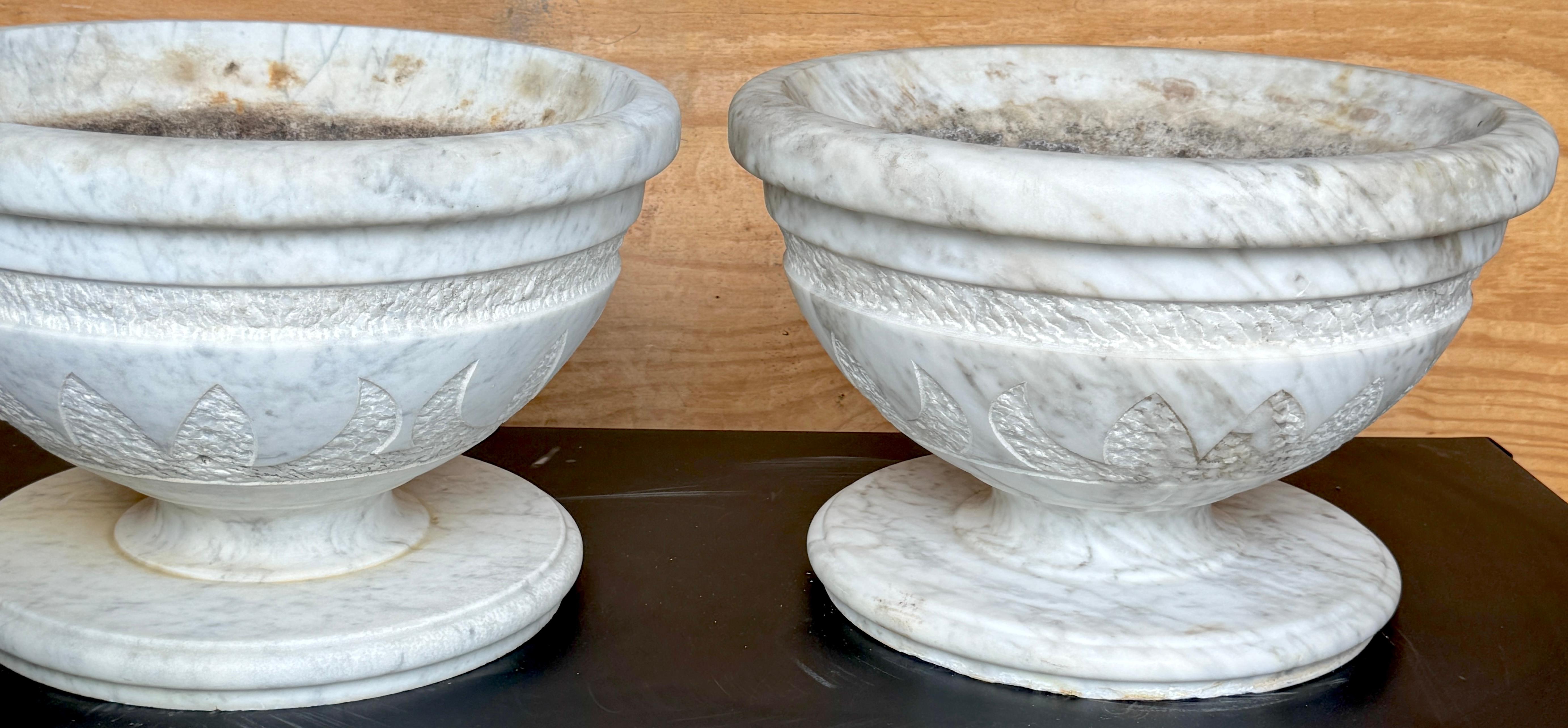 Pair of Italian Carved Marble Neoclassical Urns with Lotus Motif, Four Available (Geschnitzt) im Angebot