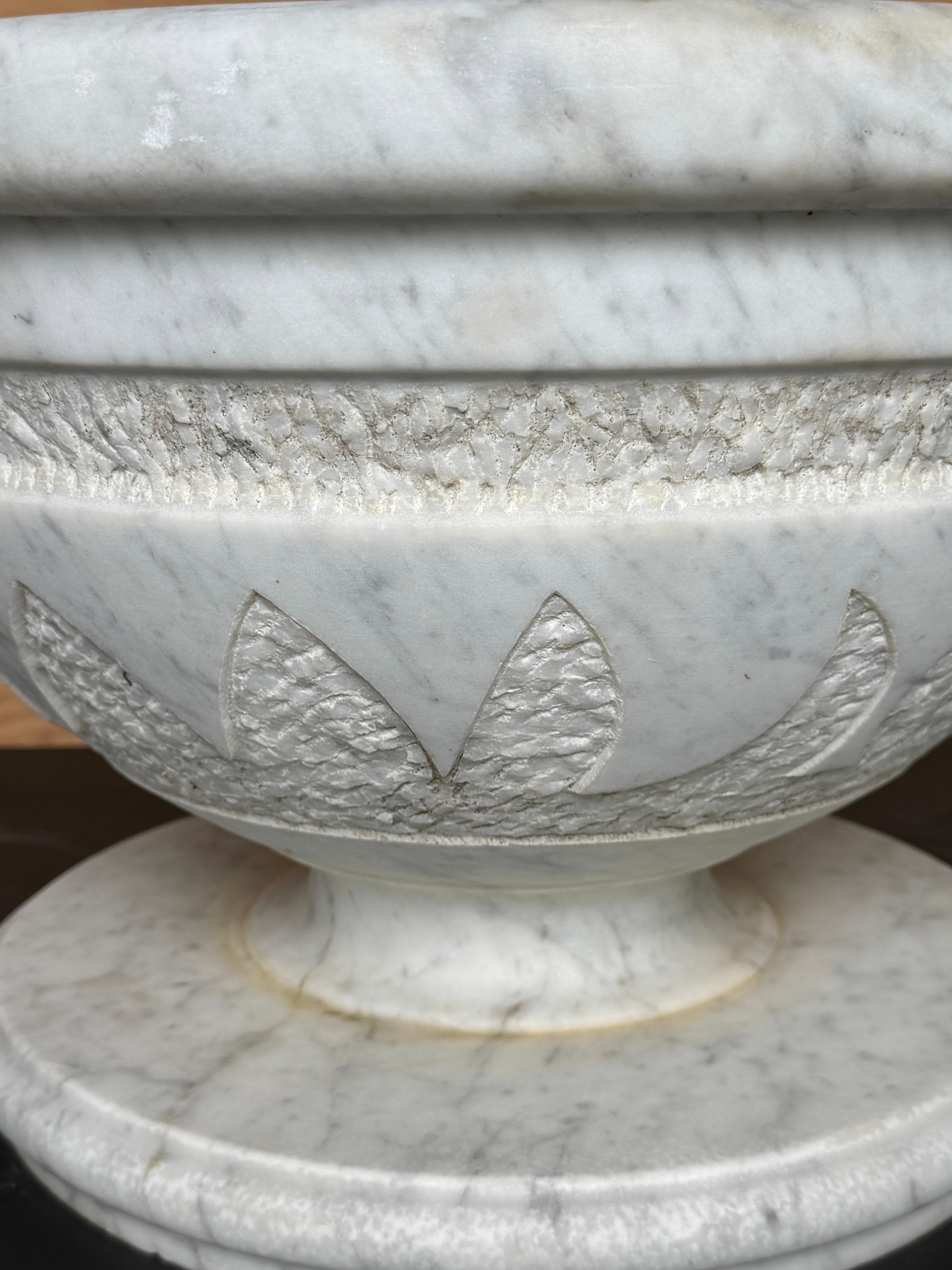 Pair of Italian Carved Marble Neoclassical Urns with Lotus Motif, Four Available im Angebot 1