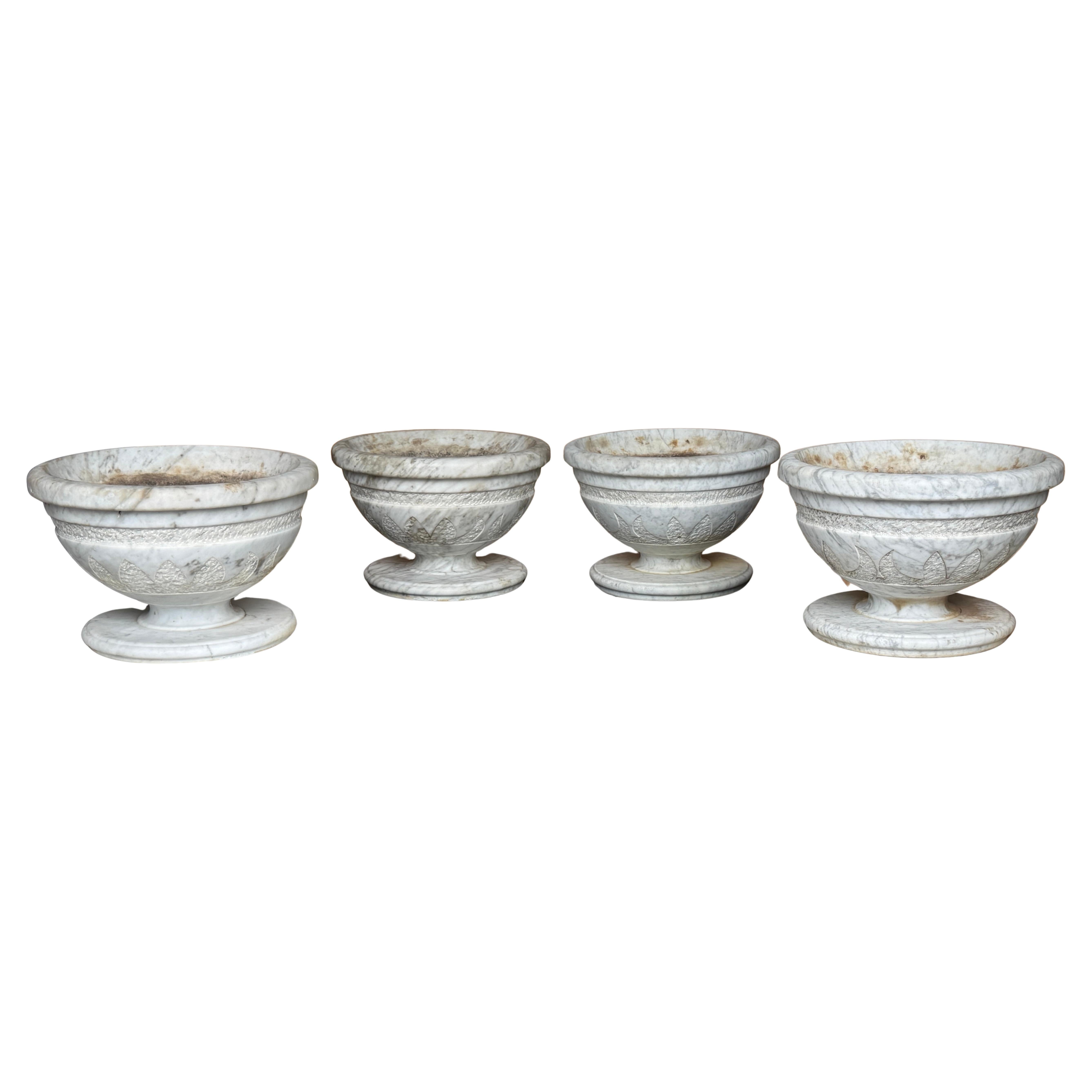 Pair of Italian Carved Marble Neoclassical Urns with Lotus Motif, Four Available