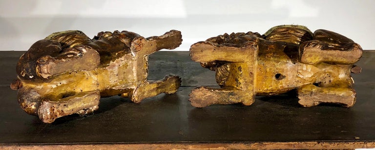 Pair of Italian Carved Wood Lions, 17th Century For Sale at 1stDibs