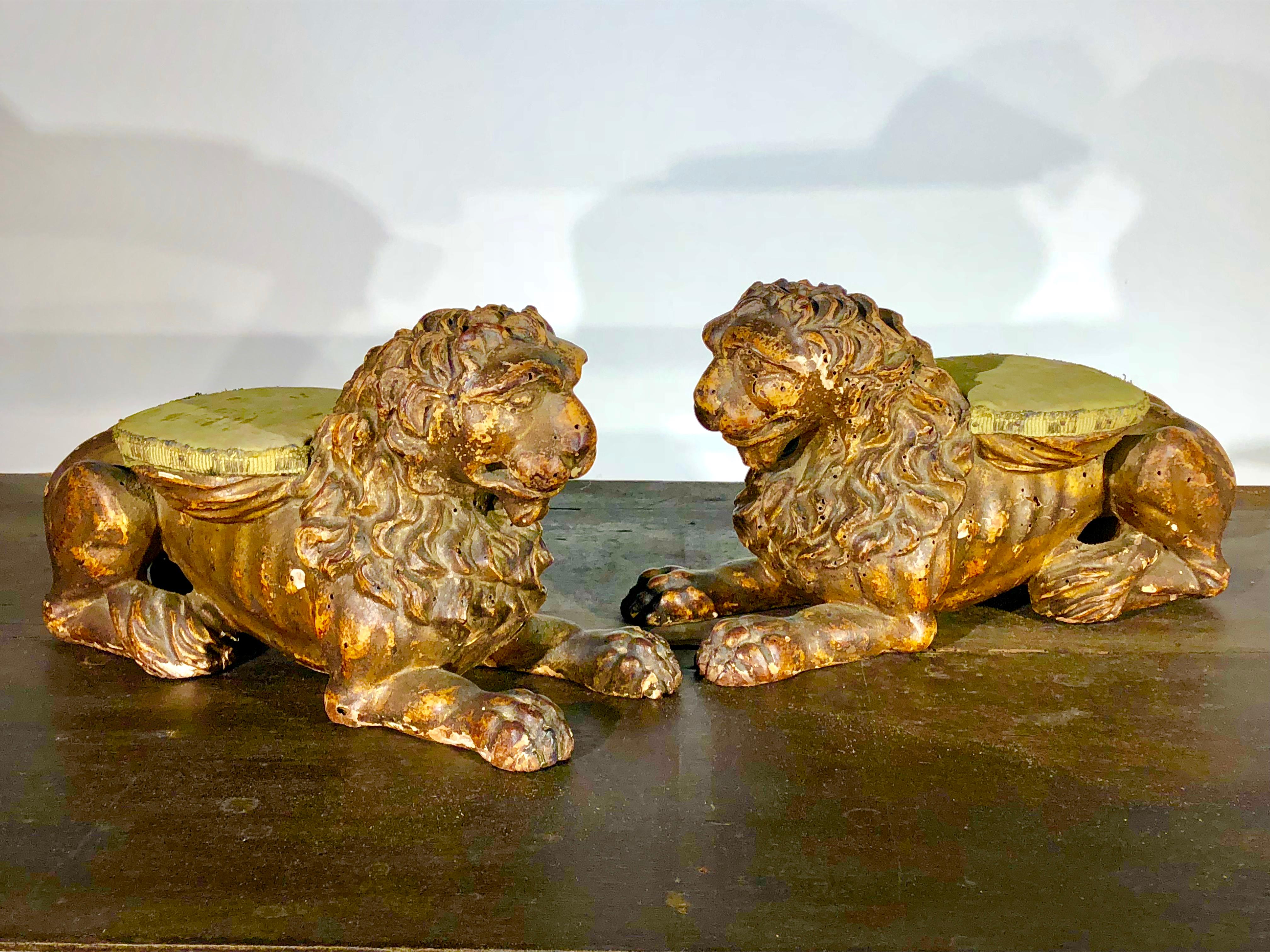 A pair of 17th century carved giltwood reclining lion sculptures, Florentine, with padded rests on backs to support some delicate object like a vase.