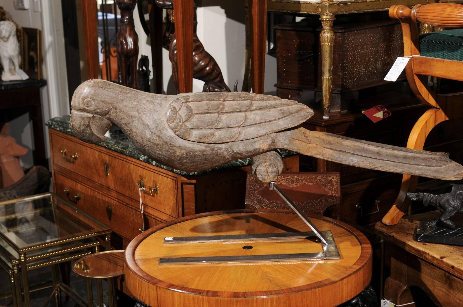 Pair of Italian Carved Wooden Parrots circa 1880, Mounted on Modern Steel Bases For Sale 6